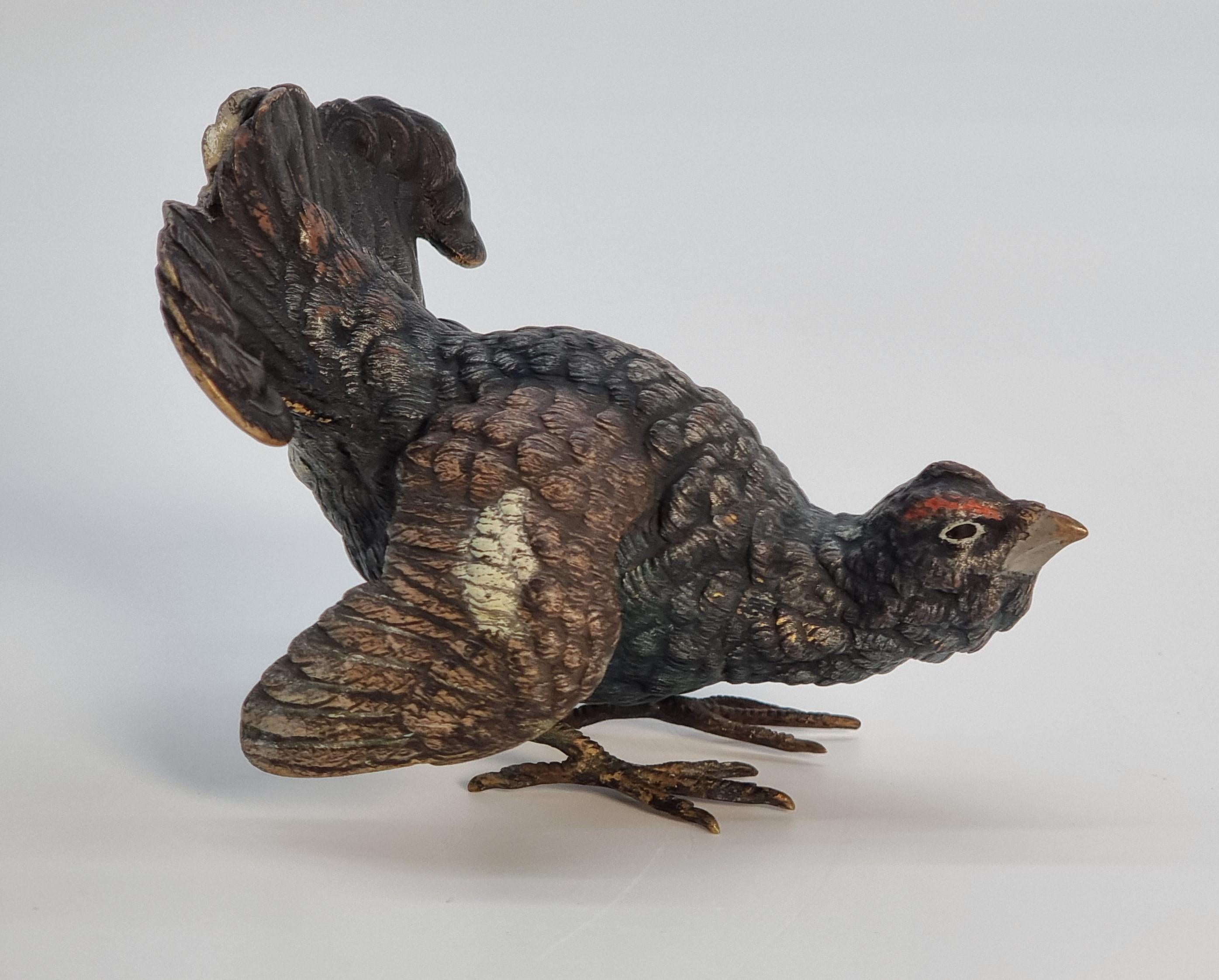 An Austrian Vienna late 19th century cold painted bronze study of a capercaillie In Good Condition For Sale In Central England, GB