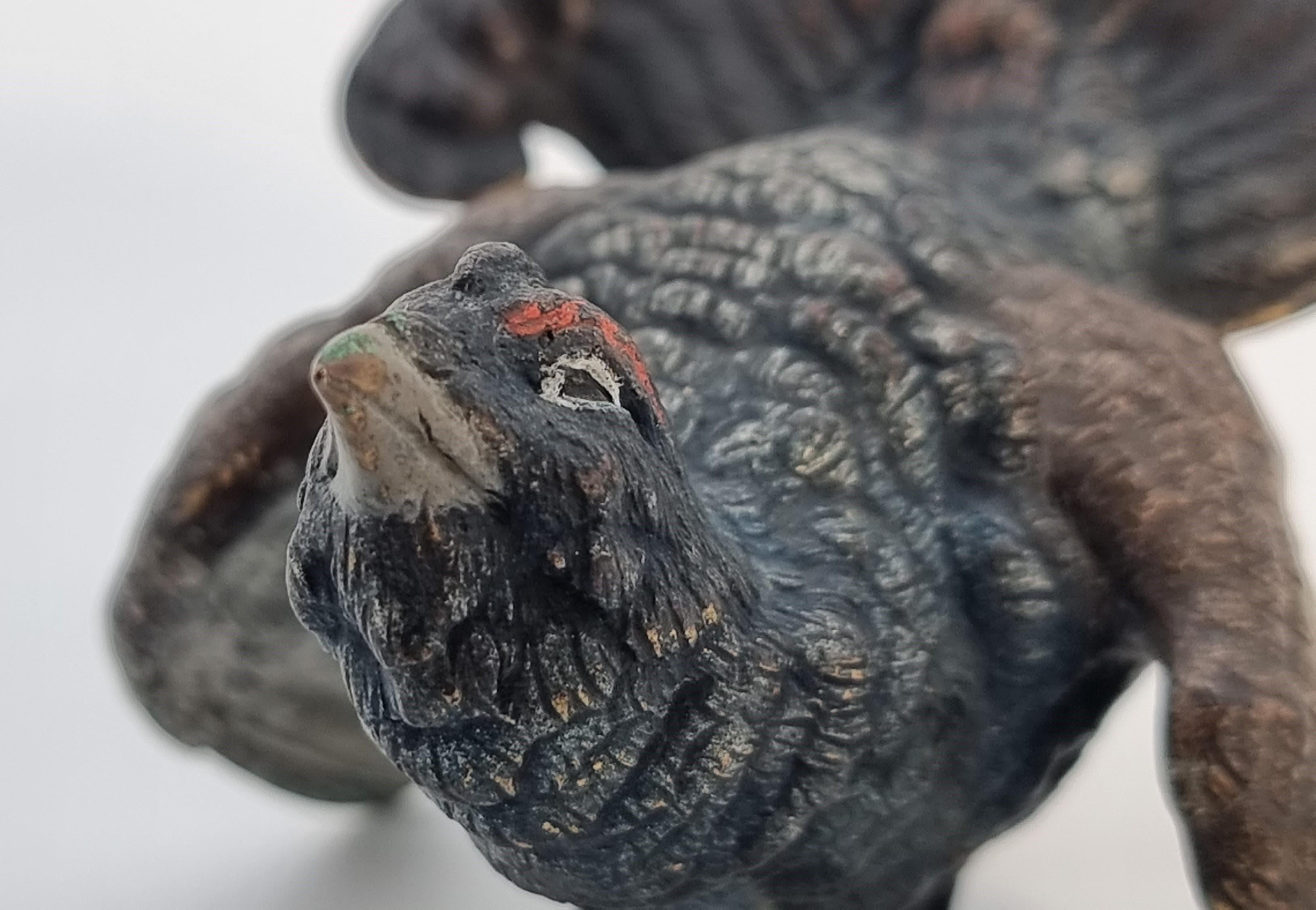 An Austrian Vienna late 19th century cold painted bronze study of a capercaillie For Sale 1