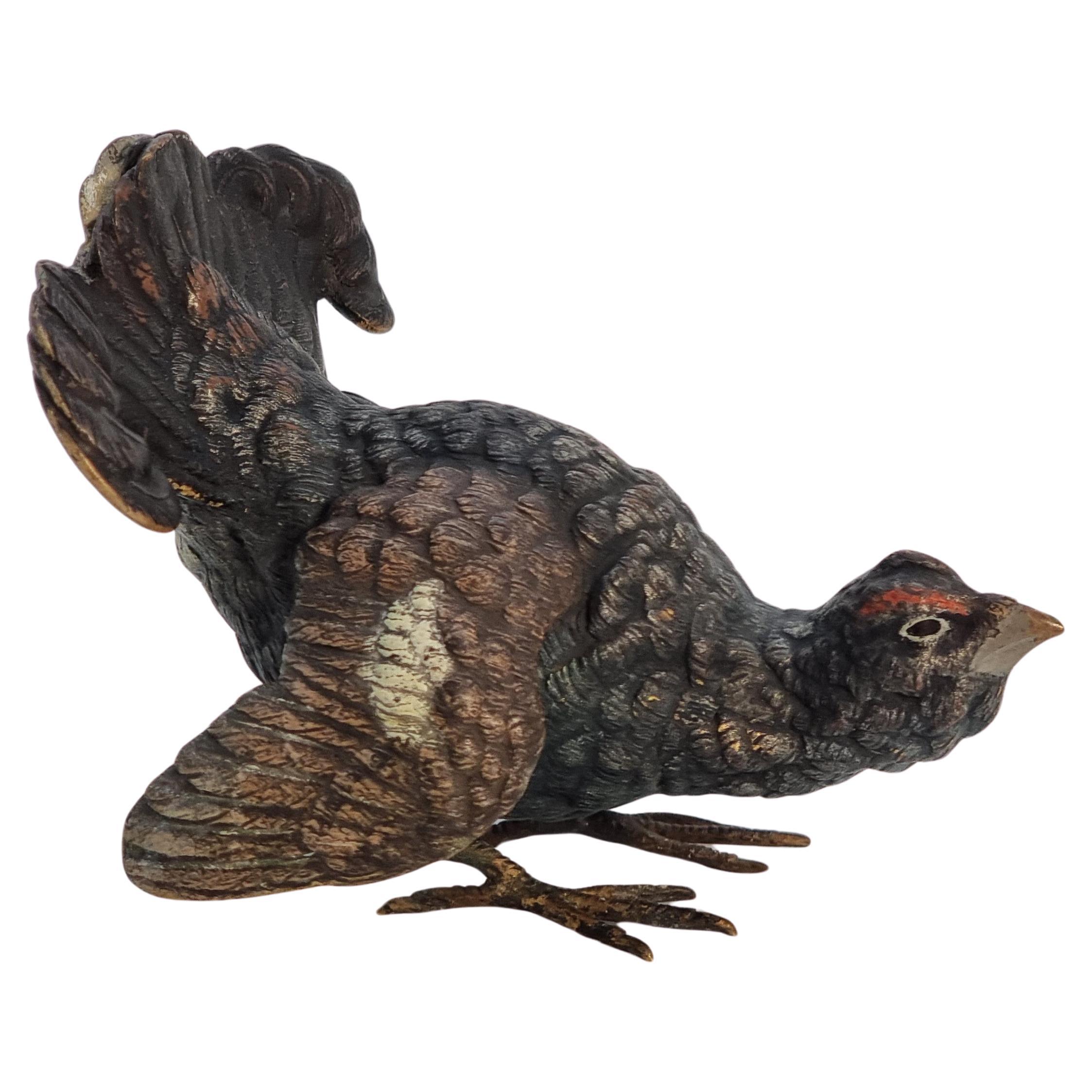 An Austrian Vienna late 19th century cold painted bronze study of a capercaillie