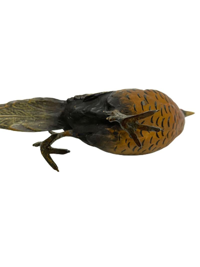 Bronzo Fagiano austriaco in bronzo, 1900 ca. in vendita