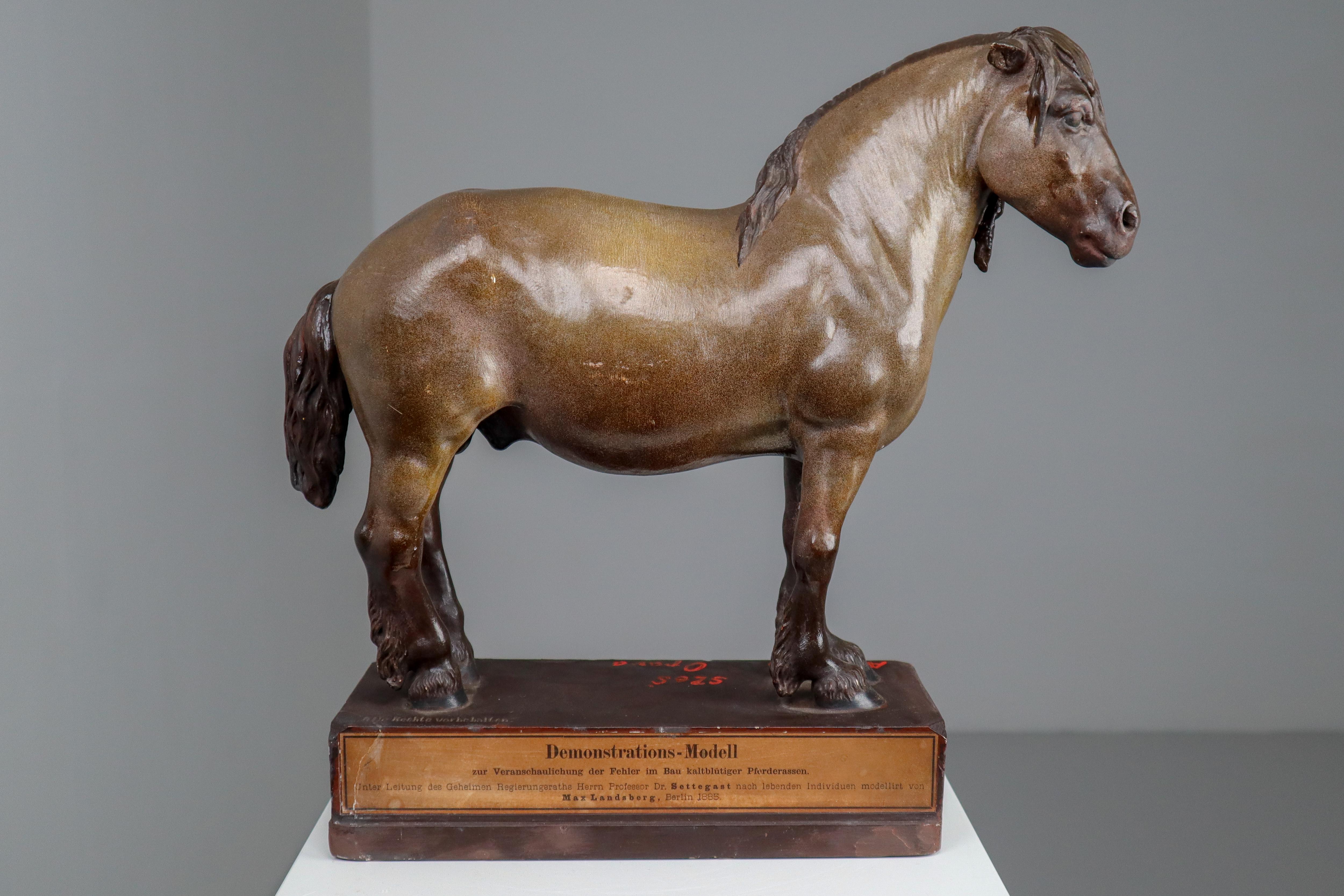 An cold blood horse model in painted plaster by Max Landsberg, Berlin after 1885, painted plaster, inscribed on base “Demonstrations Model 