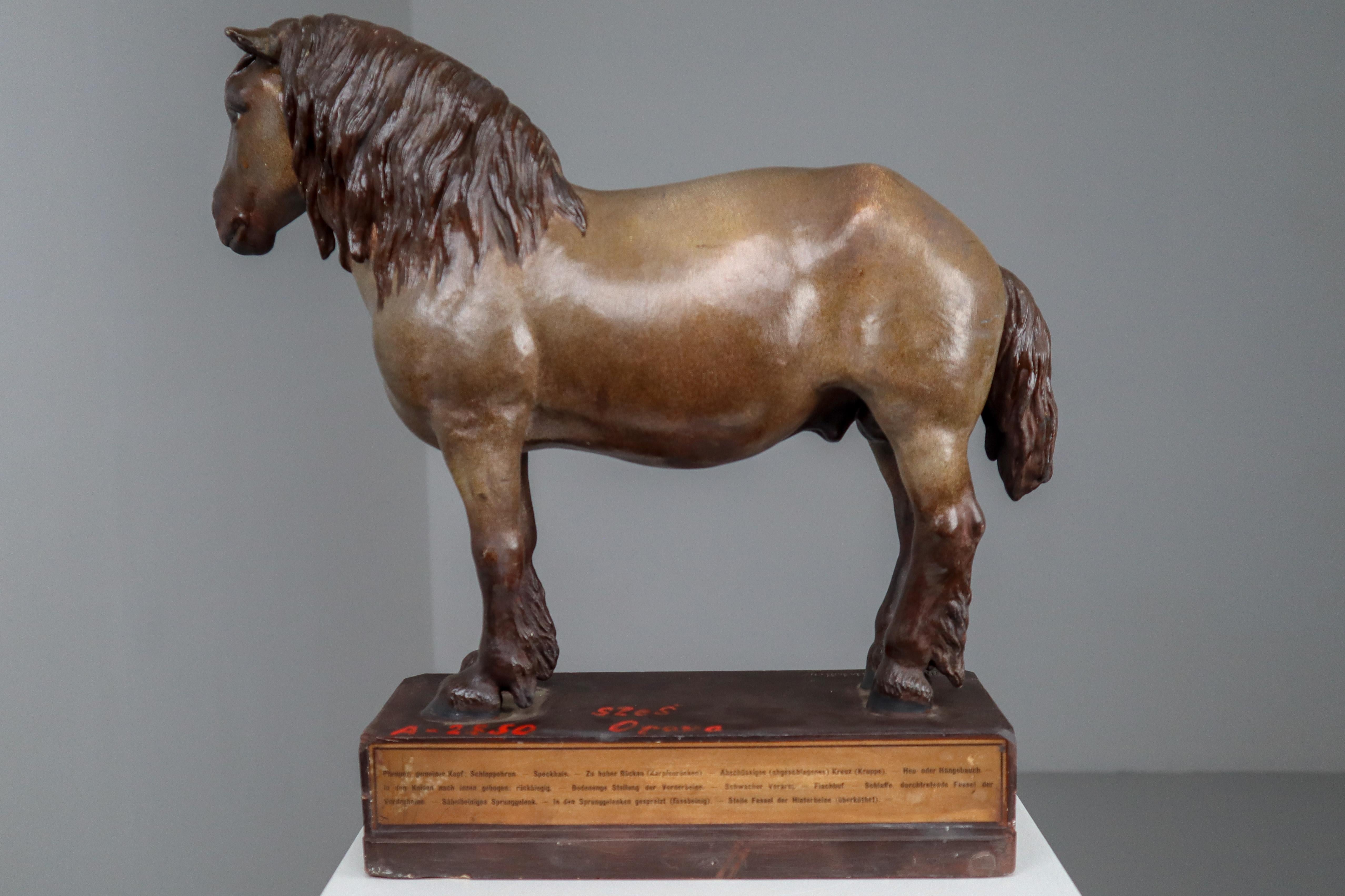 Cold Blood Horse Model in Painted Plaster by Max Landsberg, Berlin 1885 3