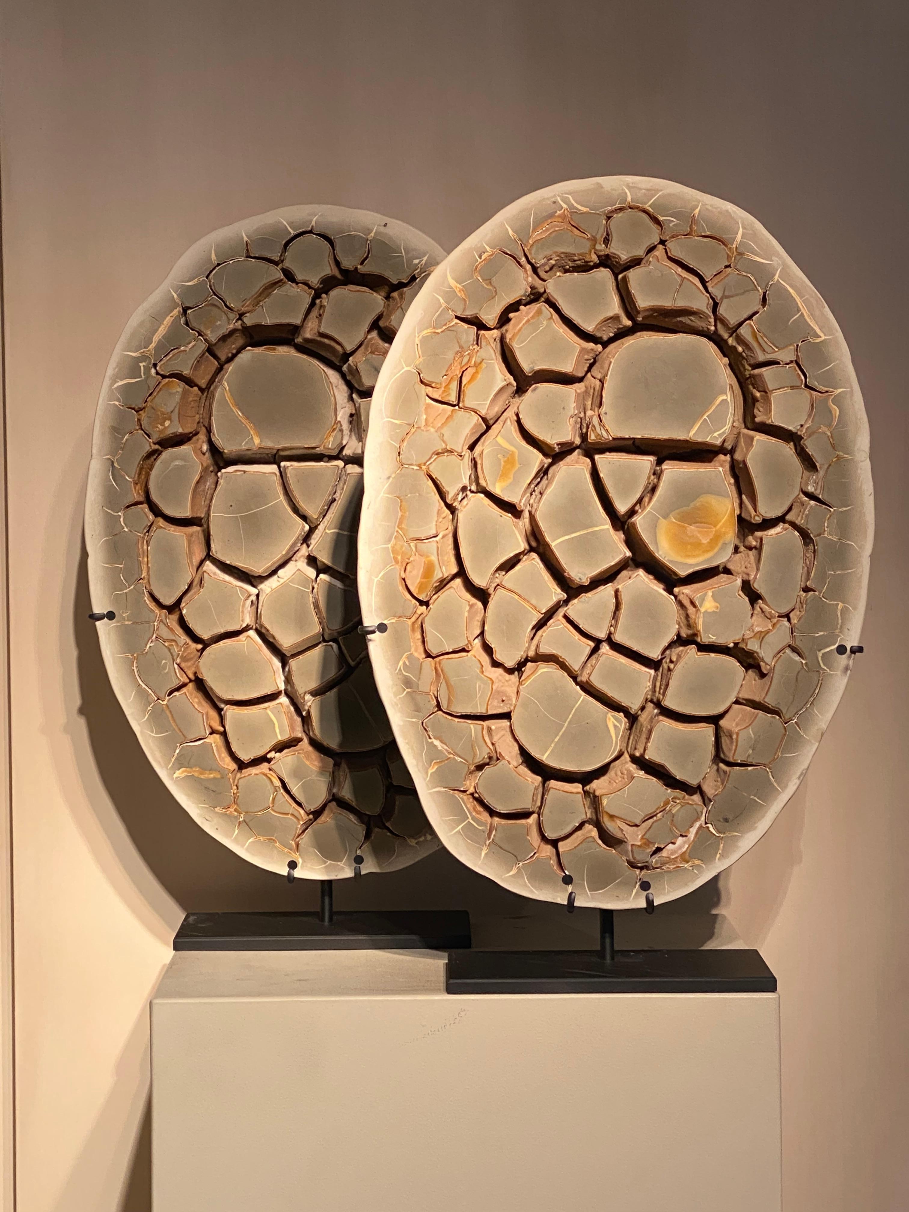A beautiful entire Septarian nodule on an Iron stand,
the nodule has been cut in 2 pieces and has been carefully polished.
The Septaria has a fantastic Color Palette of Brown ,Greyish and earthly warm colors and sandy tones.
Septaria Nodules are