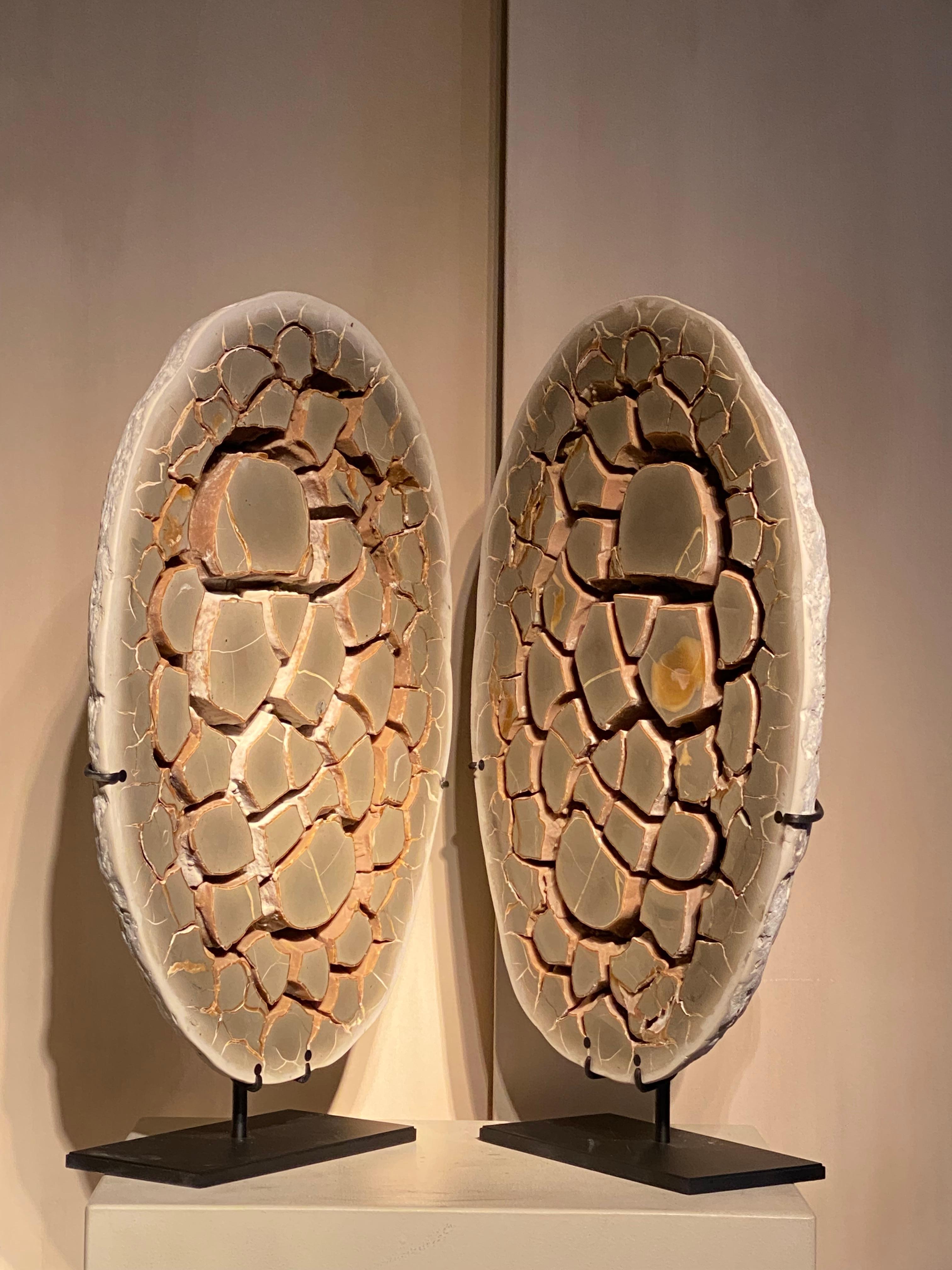 An Complete Sepatarian Nodule Piedra en venta