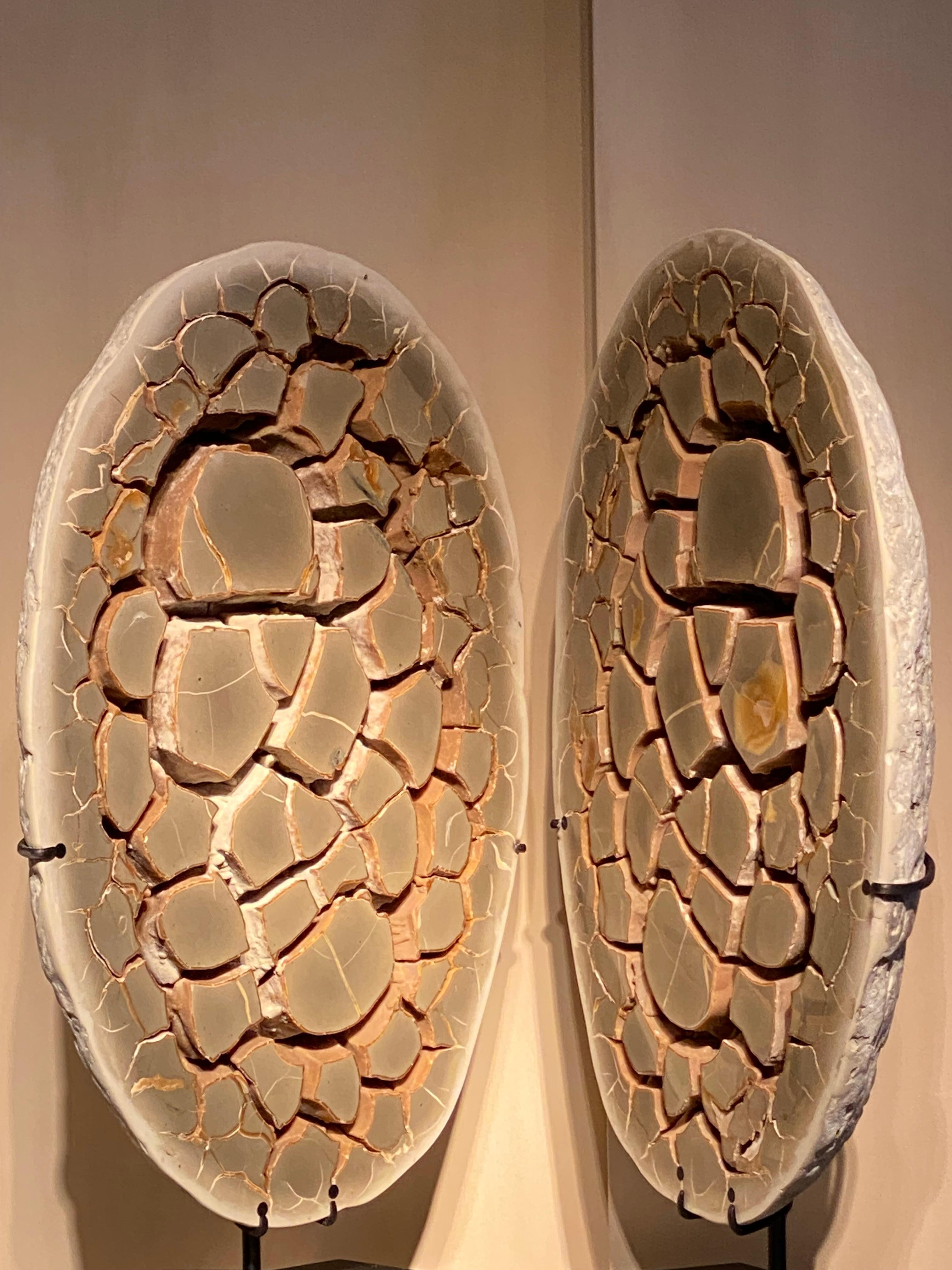 An Complete Sepatarian Nodule en venta 2
