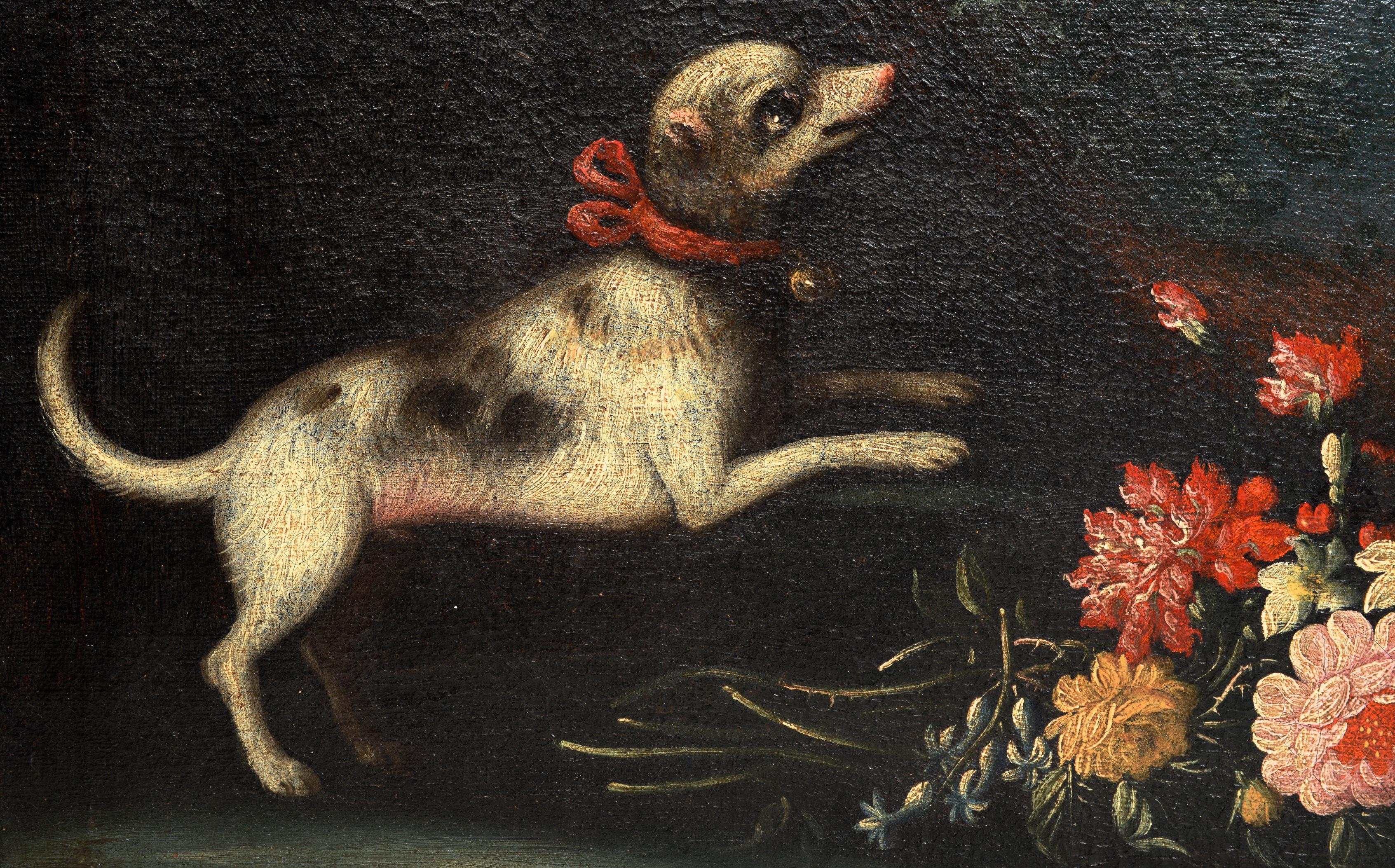 Rococo Early 18th Century Floral Still Life, Piedmontese School with a Dog and Bird