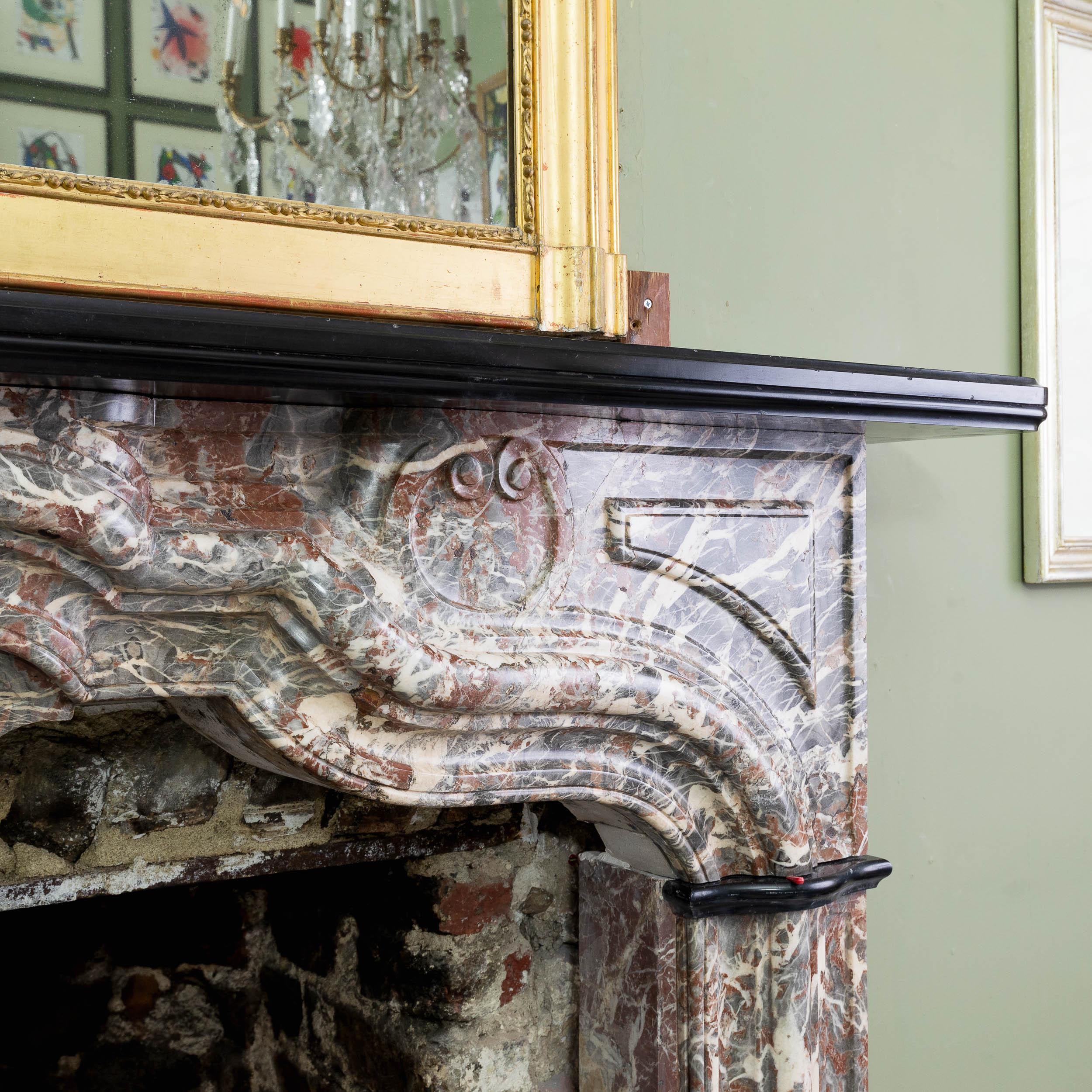 An Early 18th Century French Rance Marble Fireplace For Sale 8