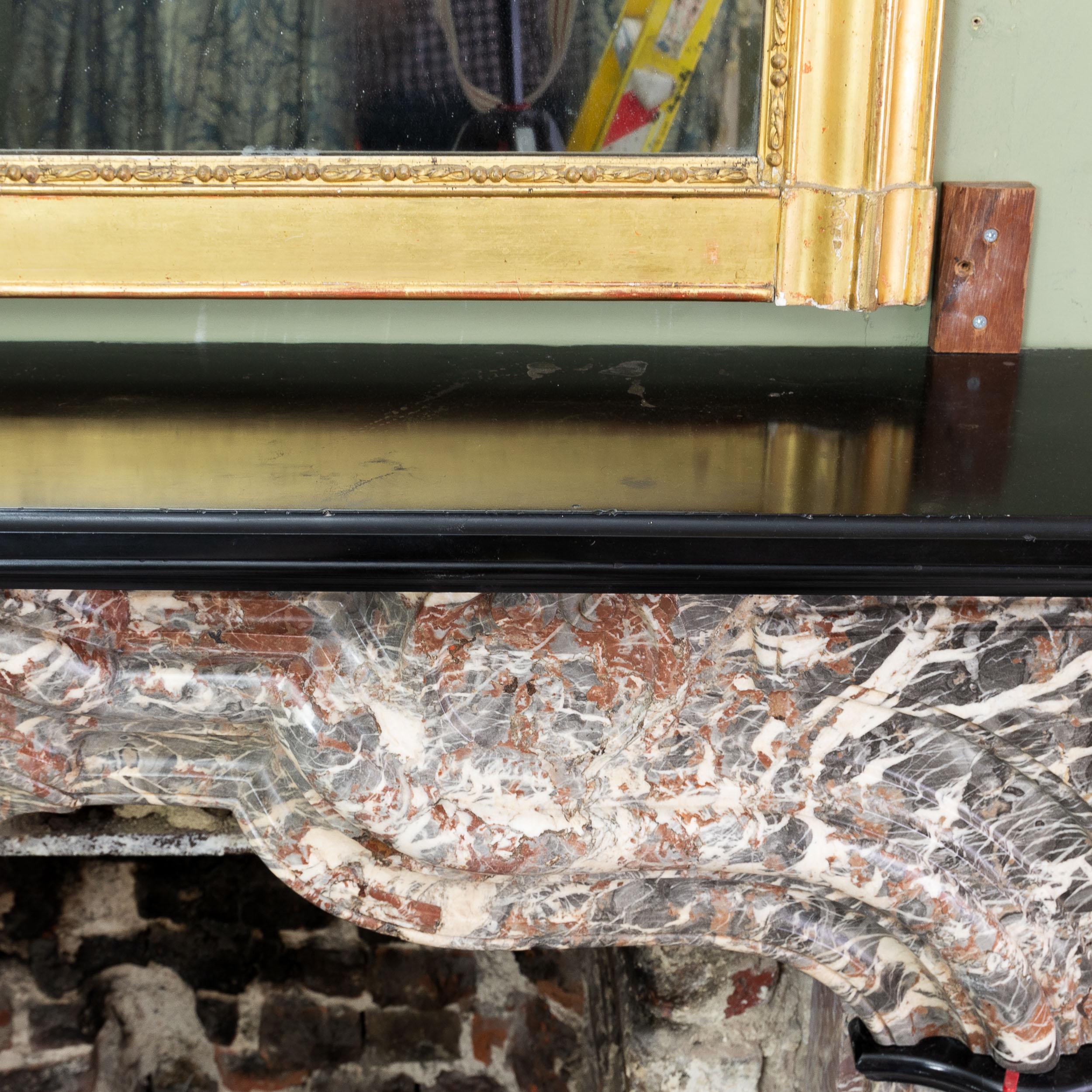 An Early 18th Century French Rance Marble Fireplace For Sale 14