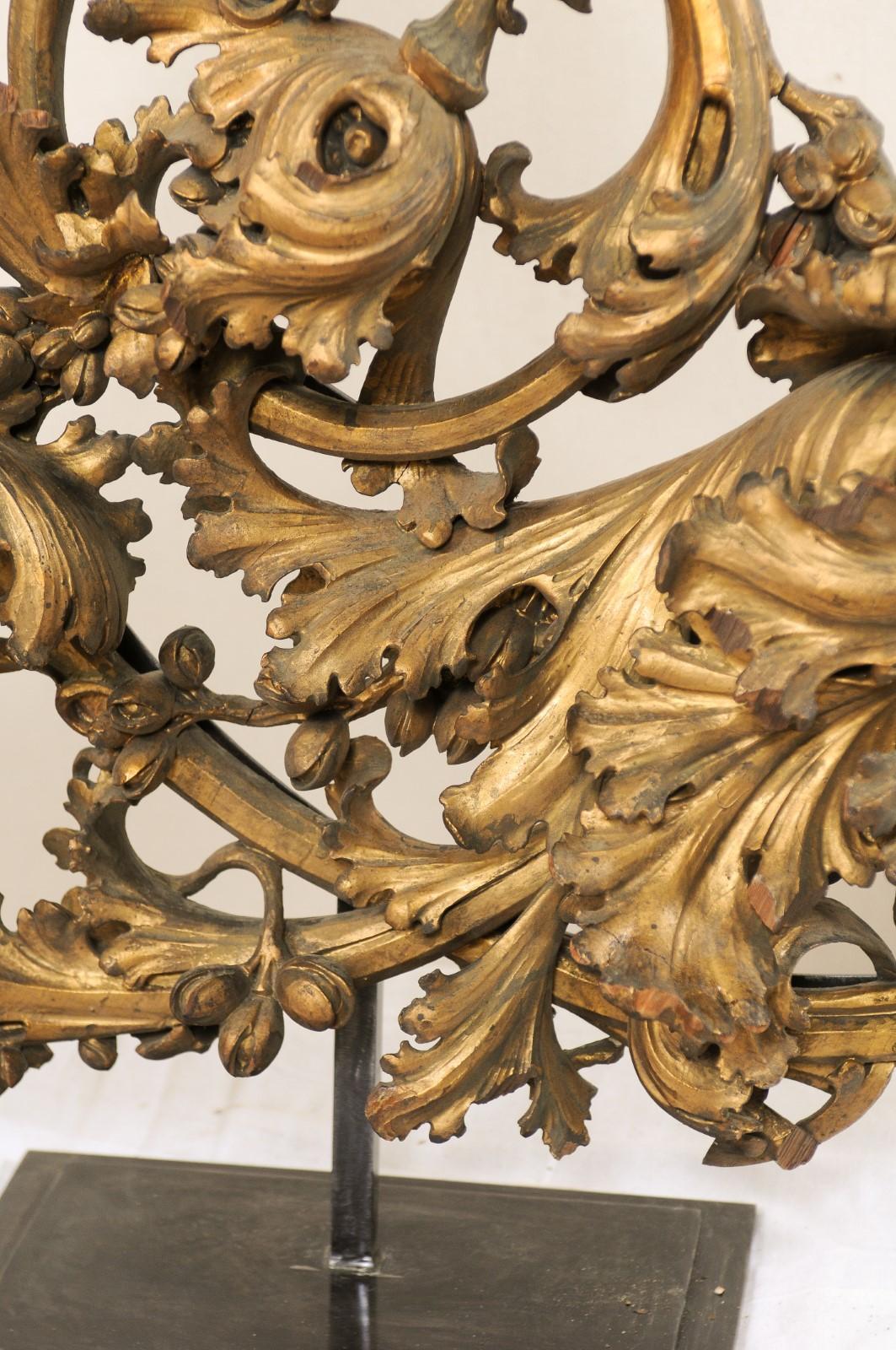 Early 19th Century Italian Carved and Gilt Acanthus Fragment on Custom Stand 2