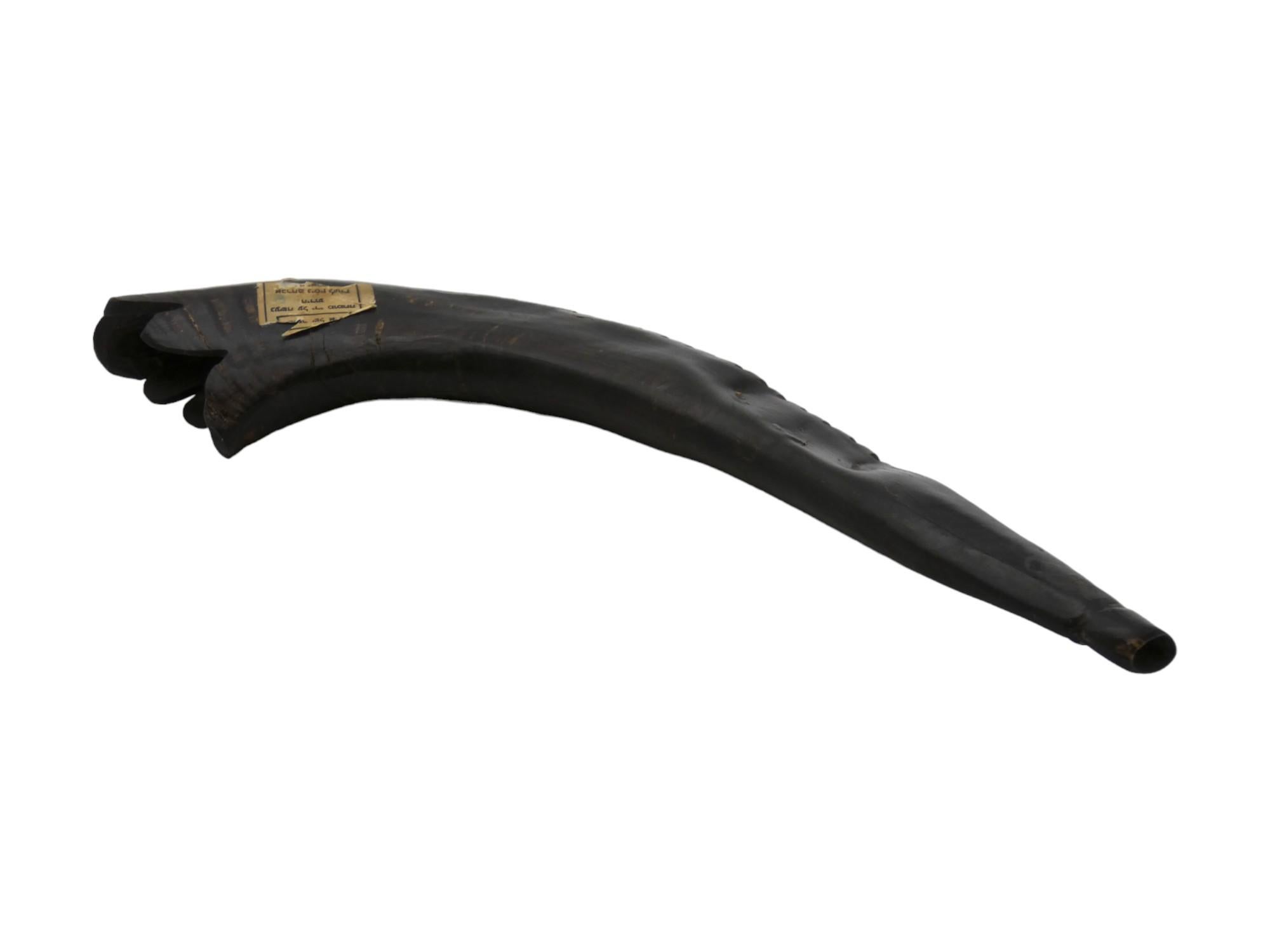 Horn An Early 20th Century American Shofar For Sale