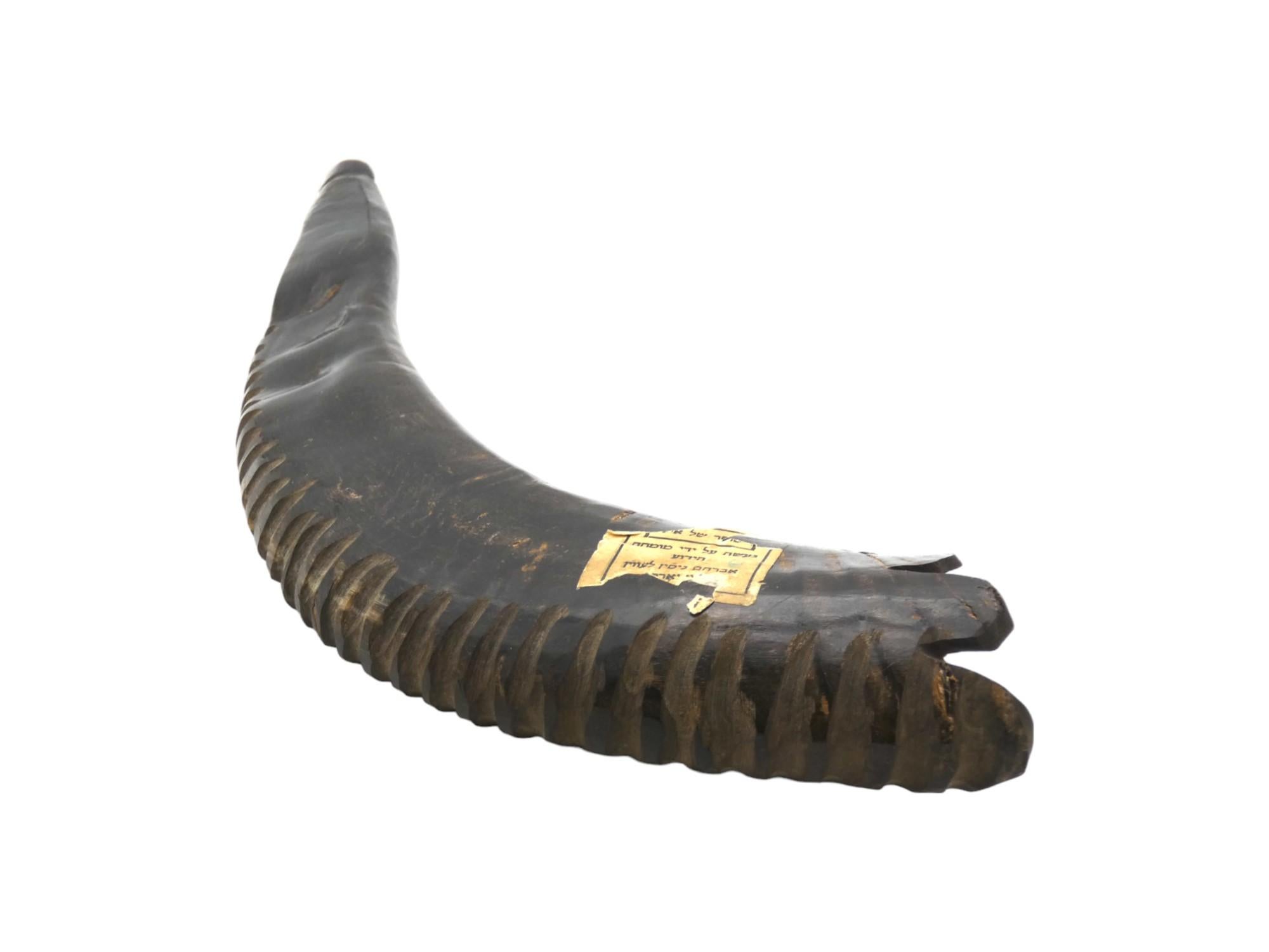 An Early 20th Century American Shofar For Sale 1