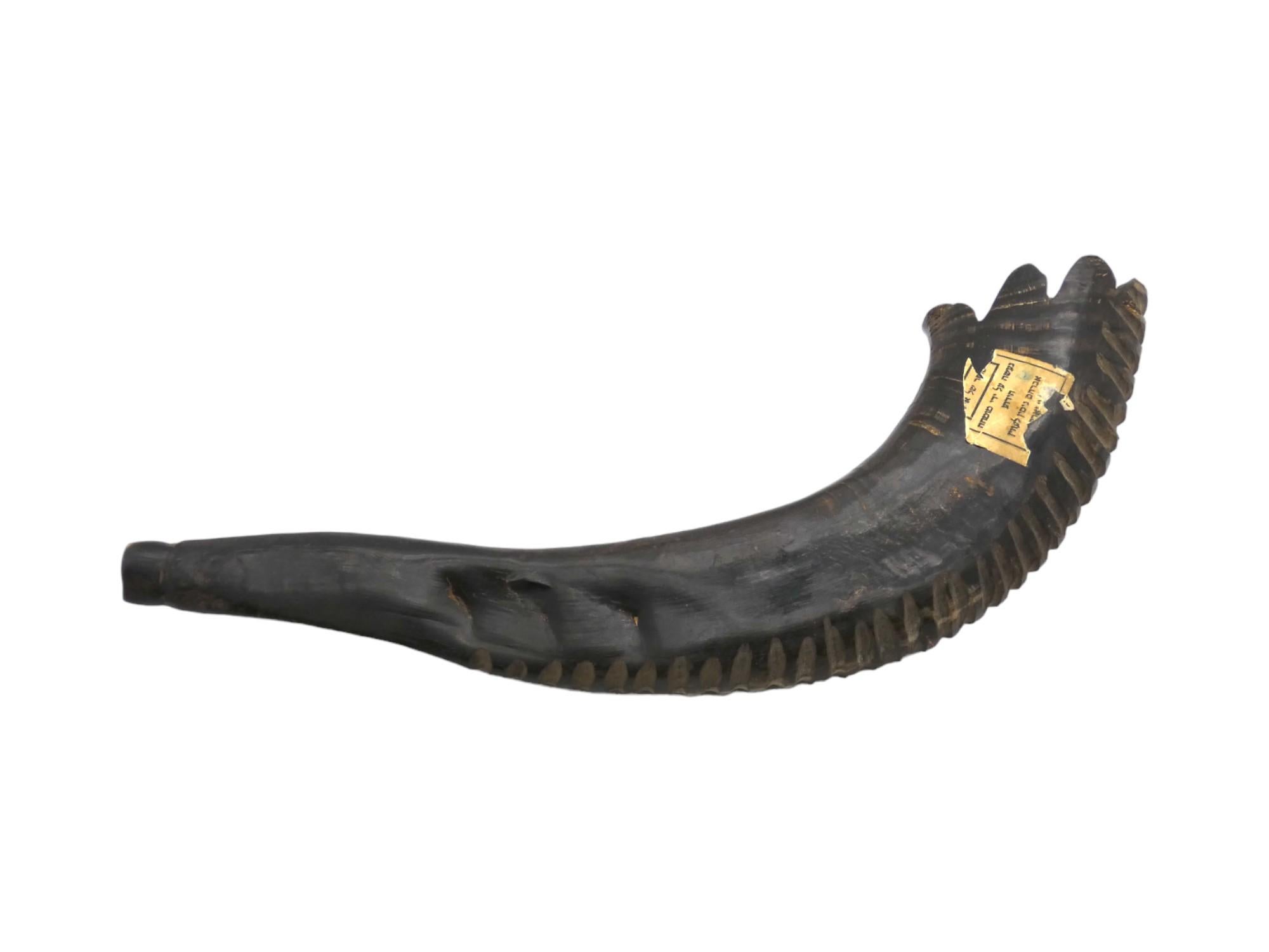 An Early 20th Century American Shofar For Sale 2