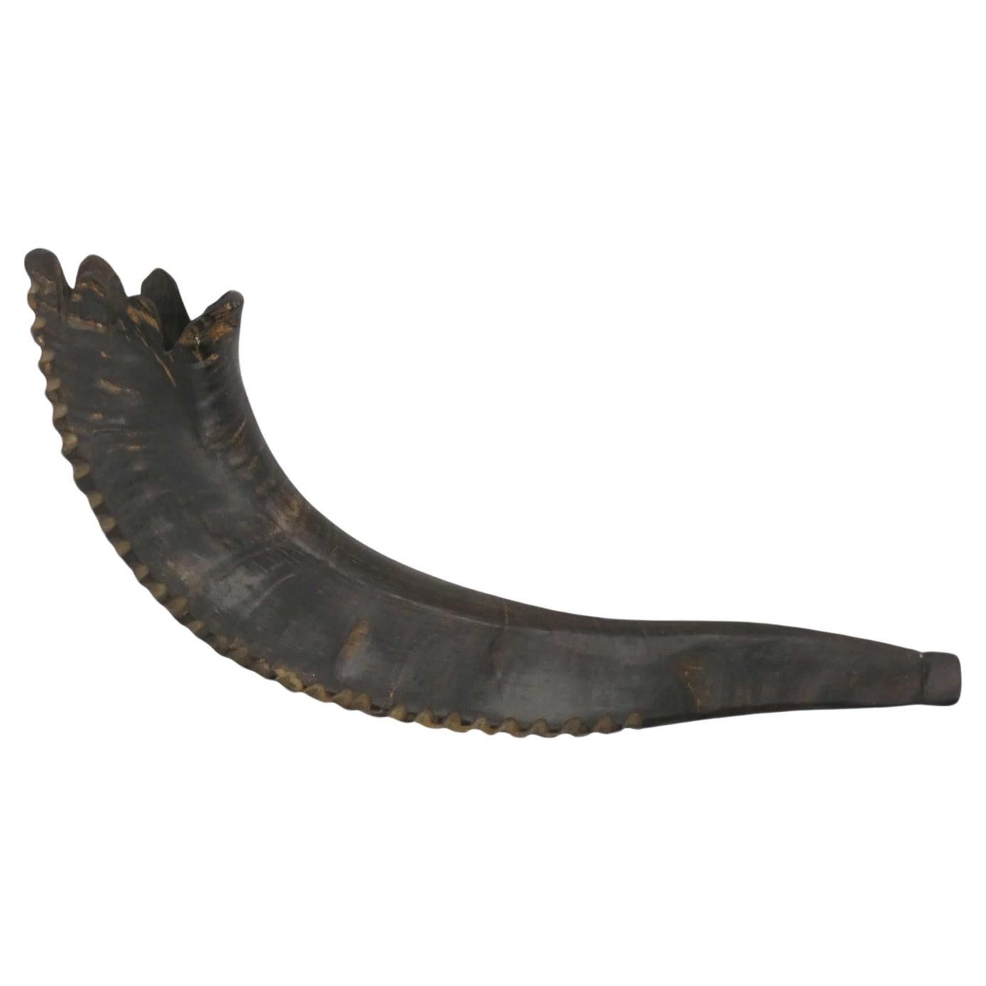 An Early 20th Century American Shofar