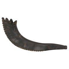 Shofar américain du début du 20e siècle