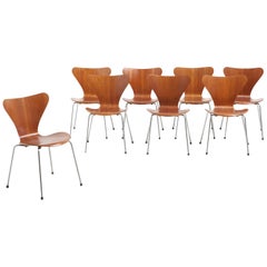 Early Set Series 7 Chairs in Teak, Arne Jacobsen