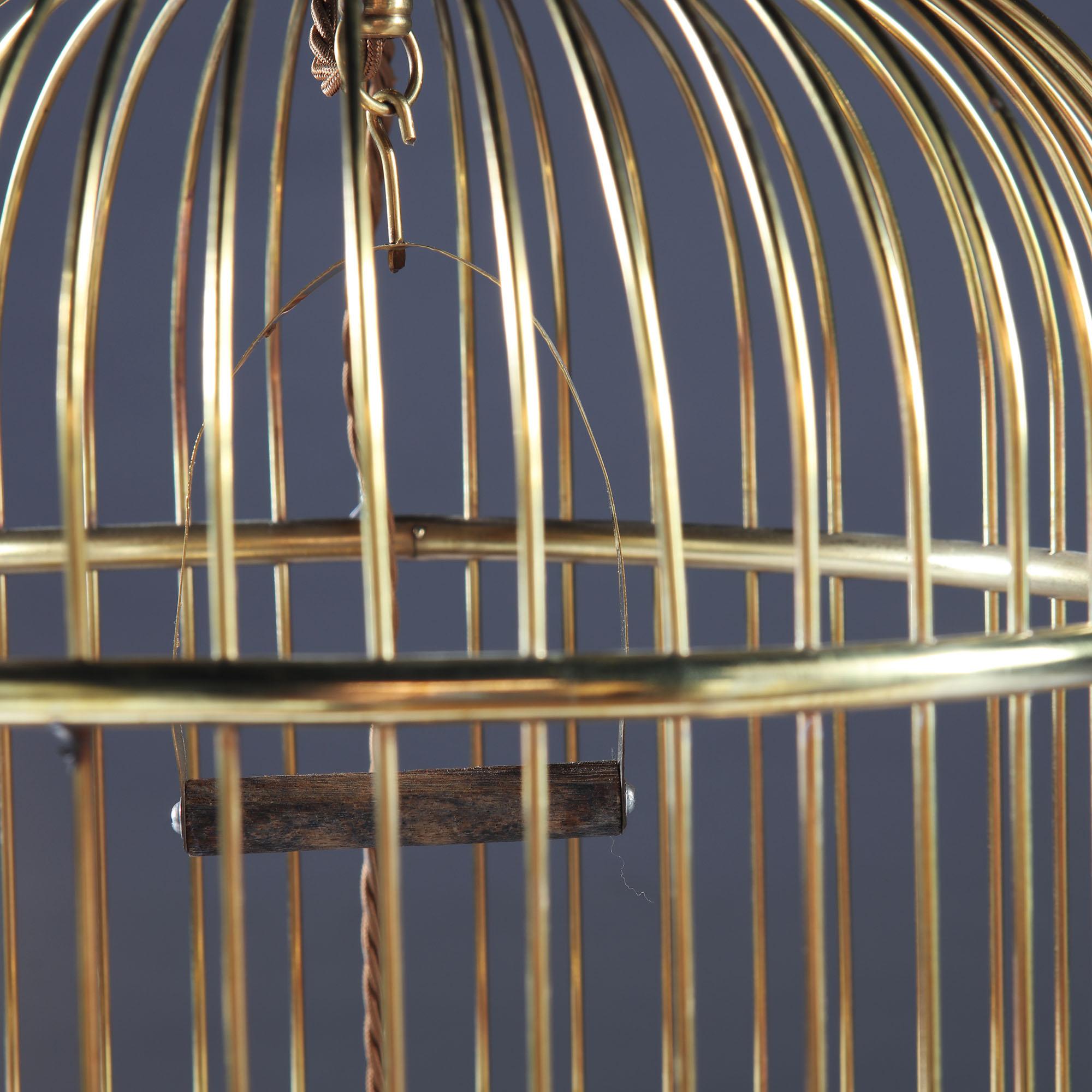Edwardian English Brass Metal Birdcage as a Table Lamp, with Mahogany Neck In Good Condition In London, GB