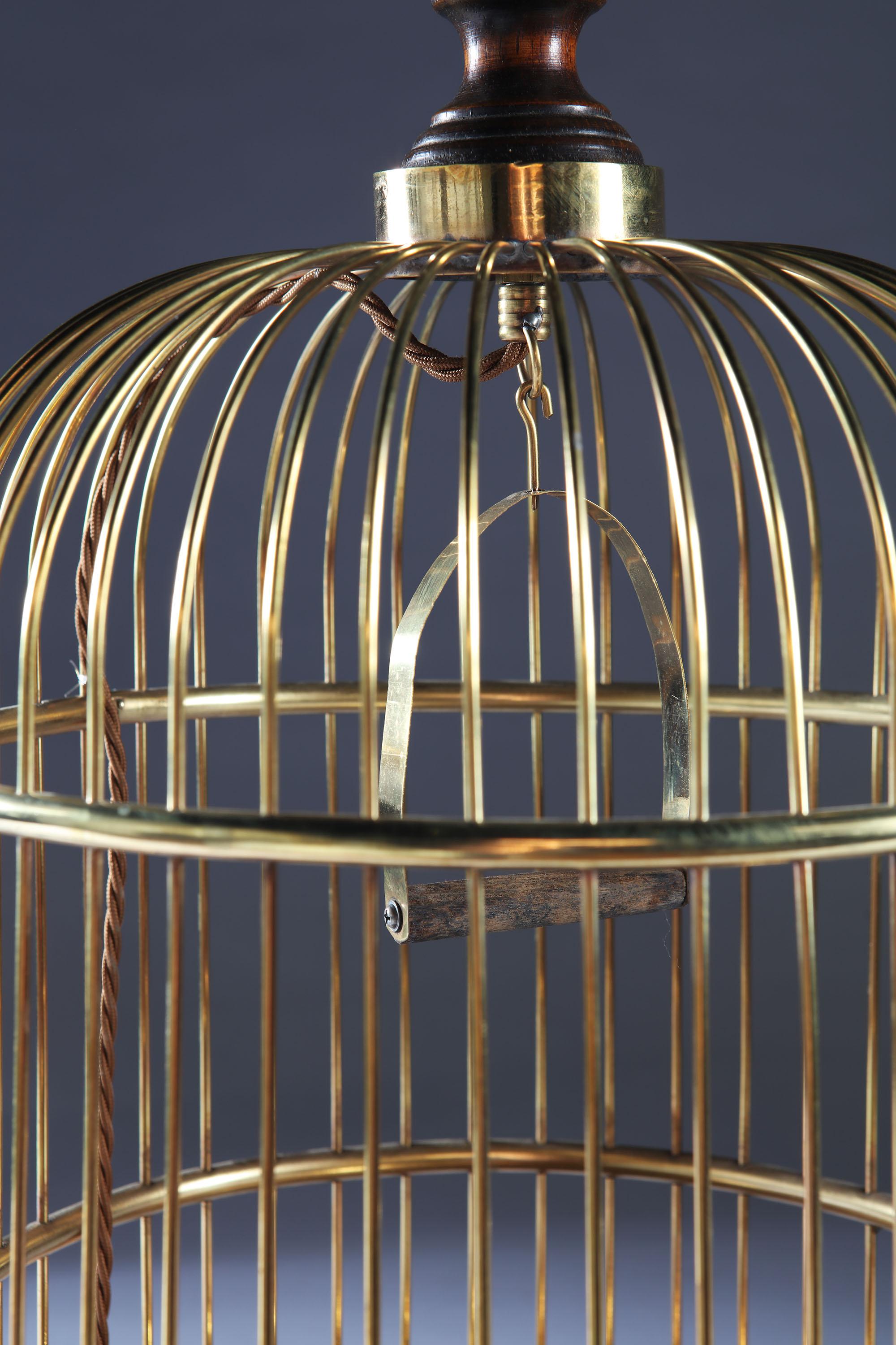 20th Century Edwardian English Brass Metal Birdcage as a Table Lamp, with Mahogany Neck