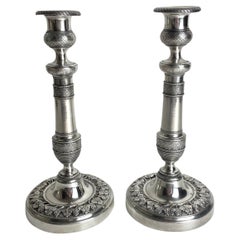 An Elegant pair of empire candlesticks in Argent haché with bunches of grapes