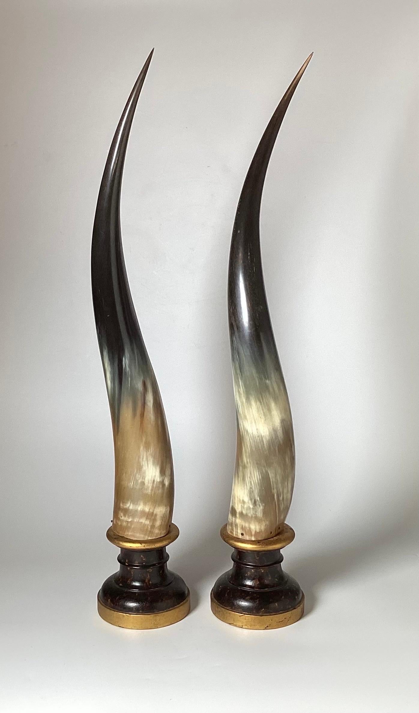 Post-Modern Elegant Pair of Steer Horns on Wood Plinth Bases, Italy Mid-20th Century