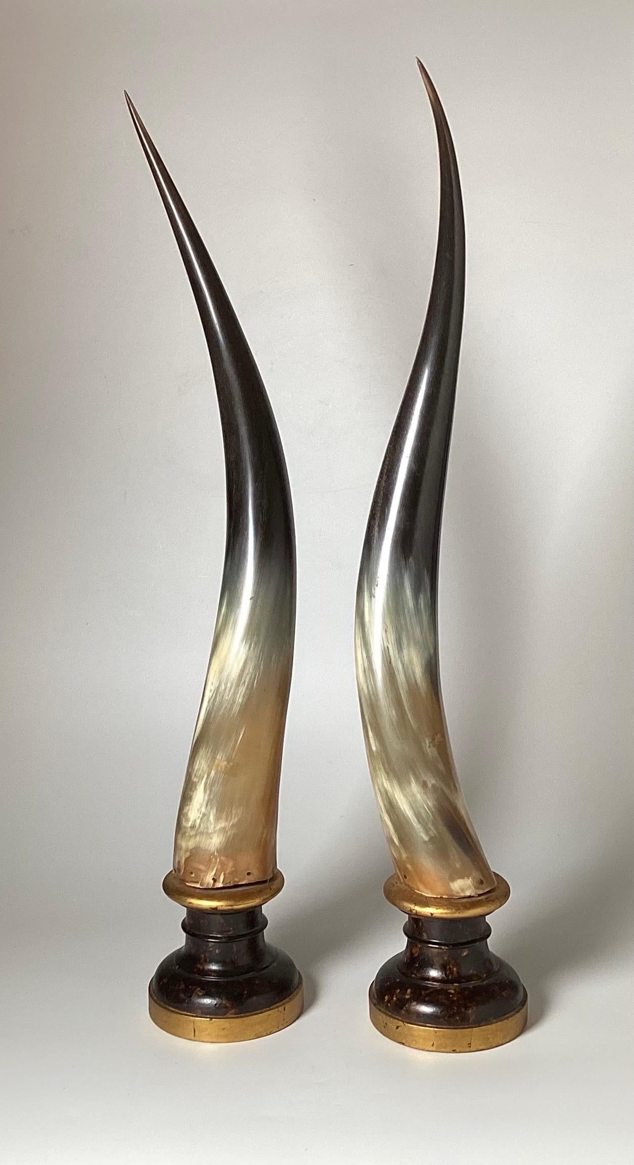 Gilt Elegant Pair of Steer Horns on Wood Plinth Bases, Italy Mid-20th Century