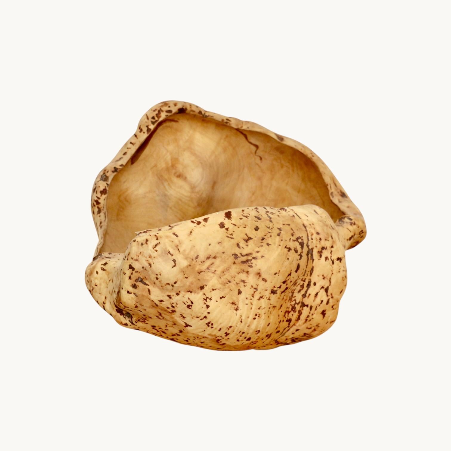 Orme Loupe d'orme, Suède, années 70. en vente