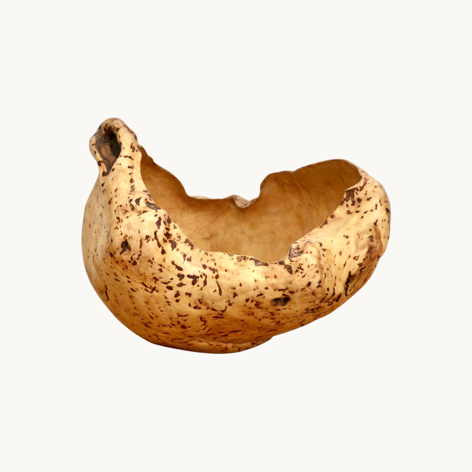 Loupe d'orme, Suède, années 70. en vente 2