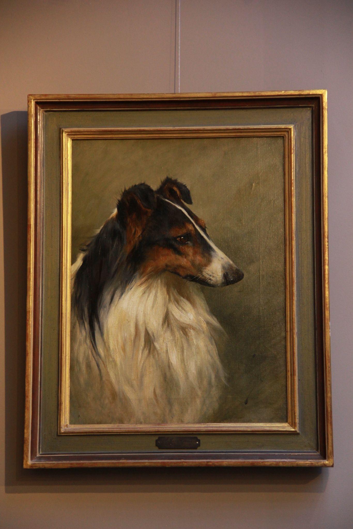 An English Gordon Setter and A Rough Haired Collie by Arthur Wardle 1864-1949 
Oil on Canvas Each 

51cm by 39cm 

Arthur Wardle was a British artist and animalier painter. His prolific oeuvre focused on his fascination with dogs of various breeds,