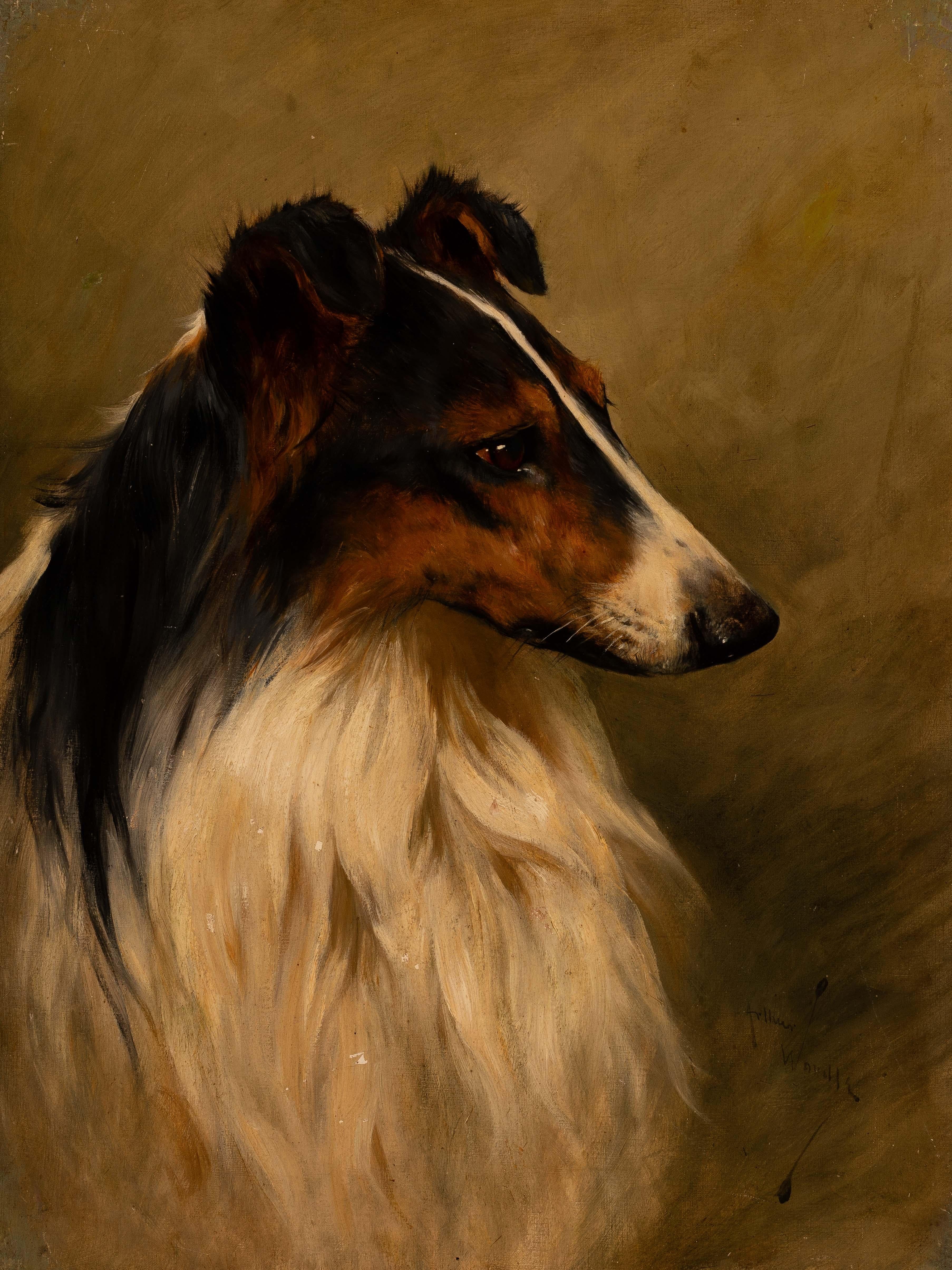 An English Gordon Setter and A Rough Haired Collie by Arthur Wardle 1864-1949 In Good Condition For Sale In London, GB