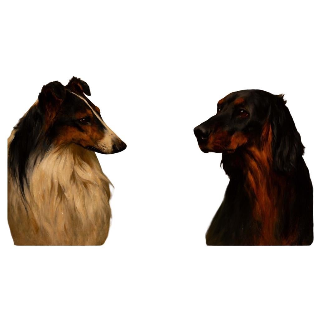 An English Gordon Setter and A Rough Haired Collie by Arthur Wardle 1864-1949 For Sale