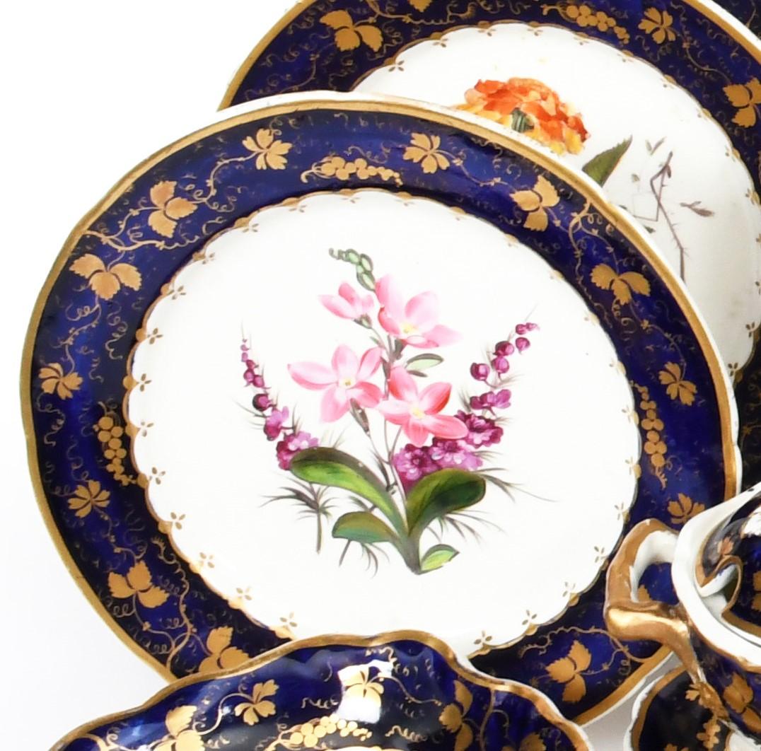 19th Century Derby  Porcelain Botanical Handpainted Dessert Service, C.1820 For Sale