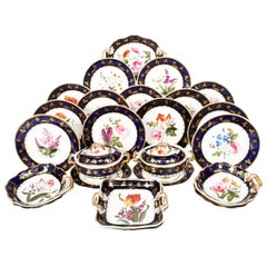 Derby  Porcelain Botanical Handpainted Dessert Service, C.1820