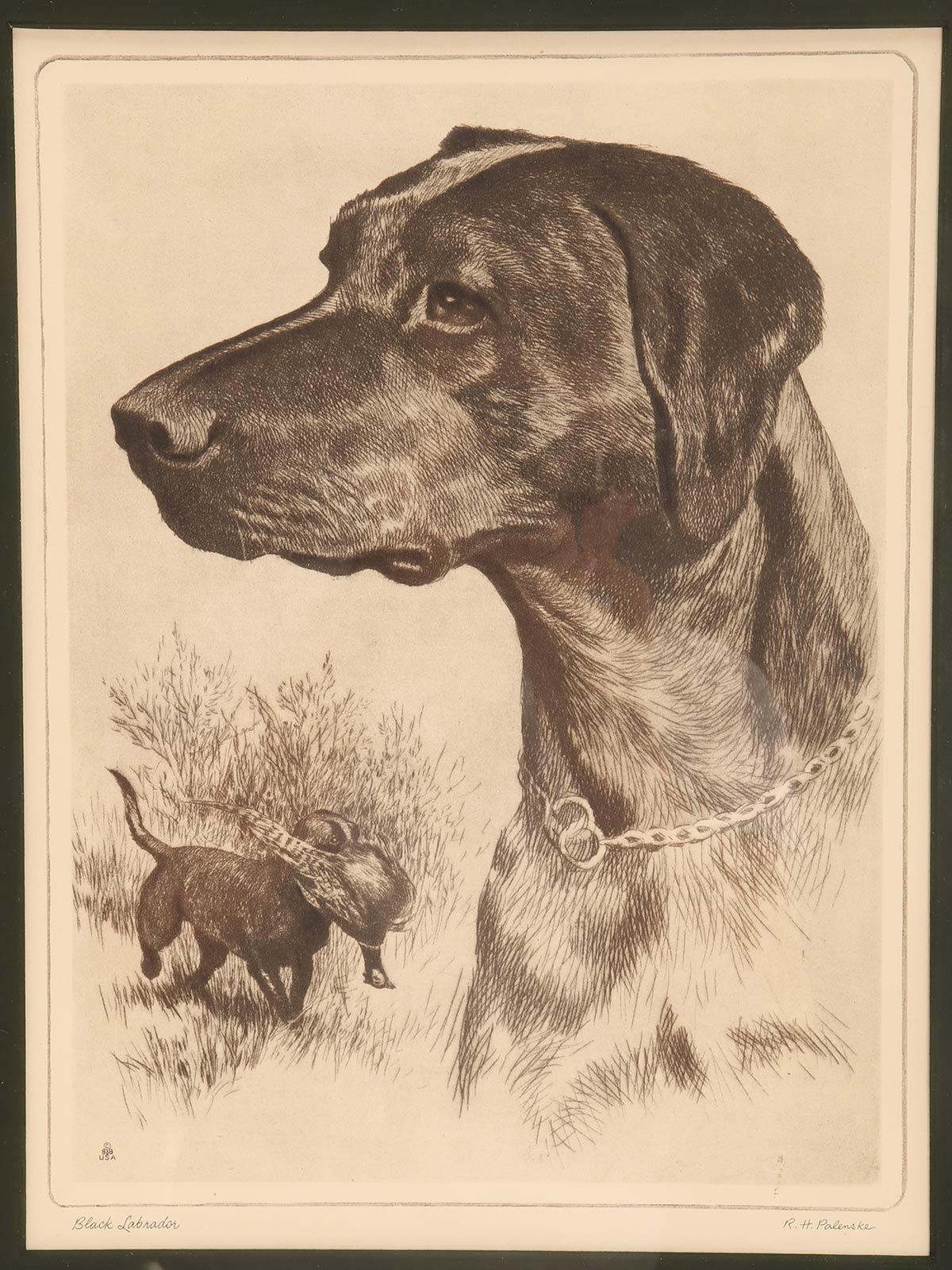Radierung mit der Darstellung eines Jagdhundes mit Fasan, USA 1930. (amerikanisch) im Angebot
