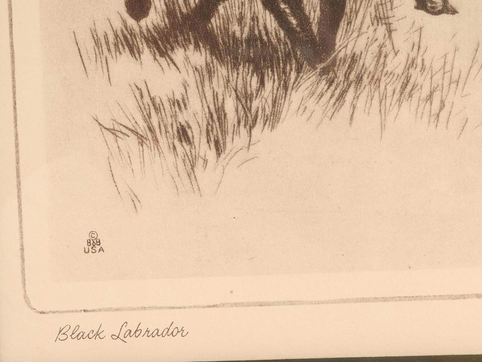 Radierung mit der Darstellung eines Jagdhundes mit Fasan, USA 1930. im Zustand „Gut“ im Angebot in Milan, IT