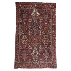 An Eternal Garden: Antique Persian Bakhtiari Masterpiece of Refined Elegance