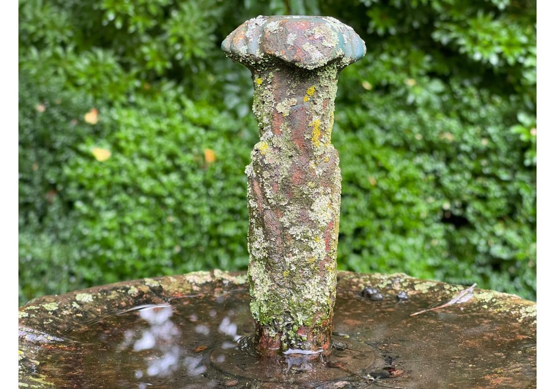 Außergewöhnlicher antiker Gartenbrunnen aus Gusseisen (Amerikanische Klassik) im Angebot