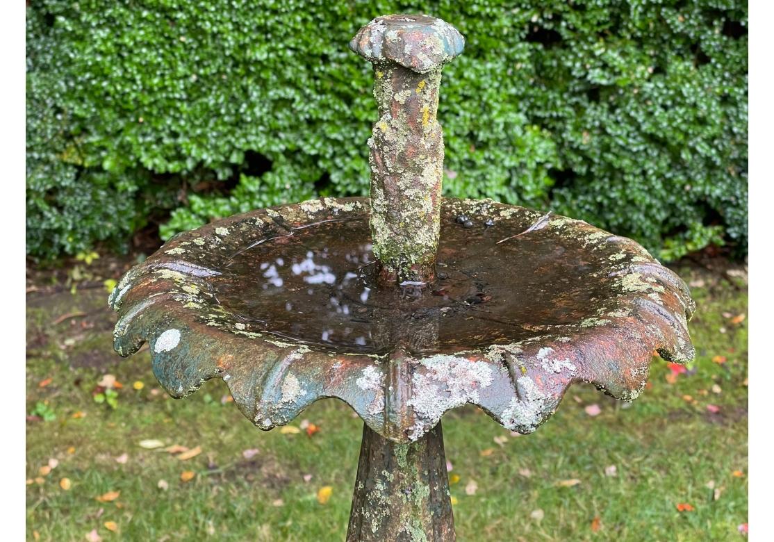 Außergewöhnlicher antiker Gartenbrunnen aus Gusseisen (Eisen) im Angebot