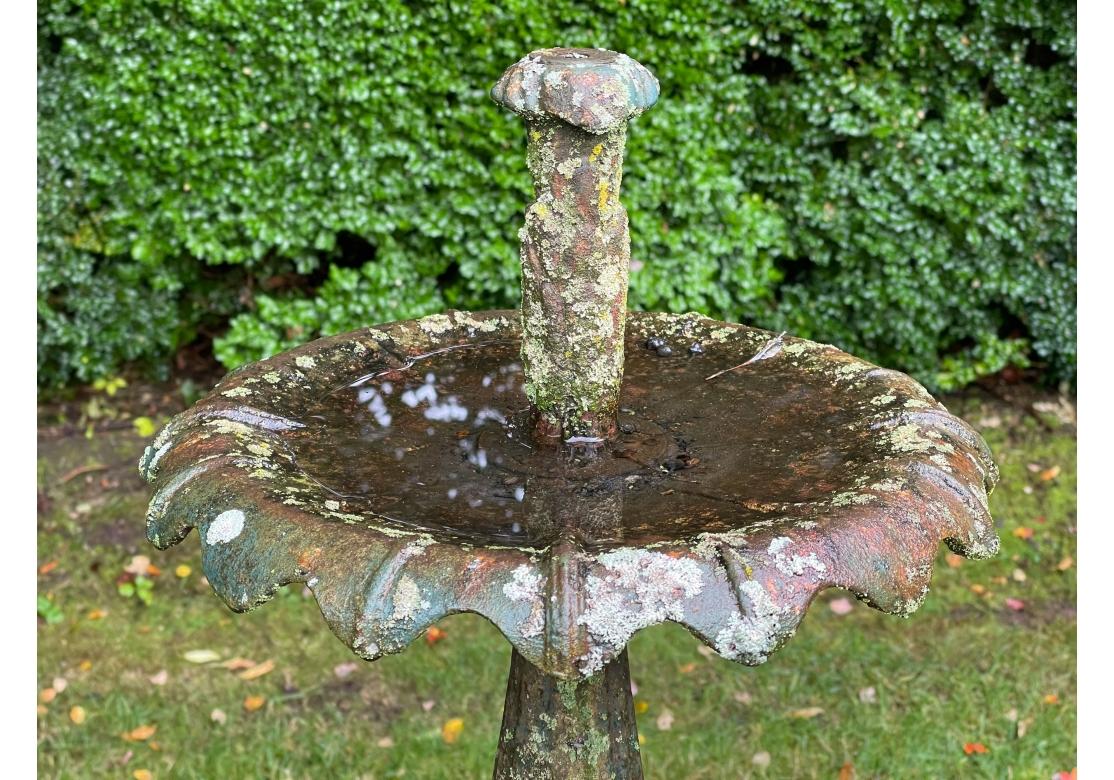Außergewöhnlicher antiker Gartenbrunnen aus Gusseisen im Angebot 3