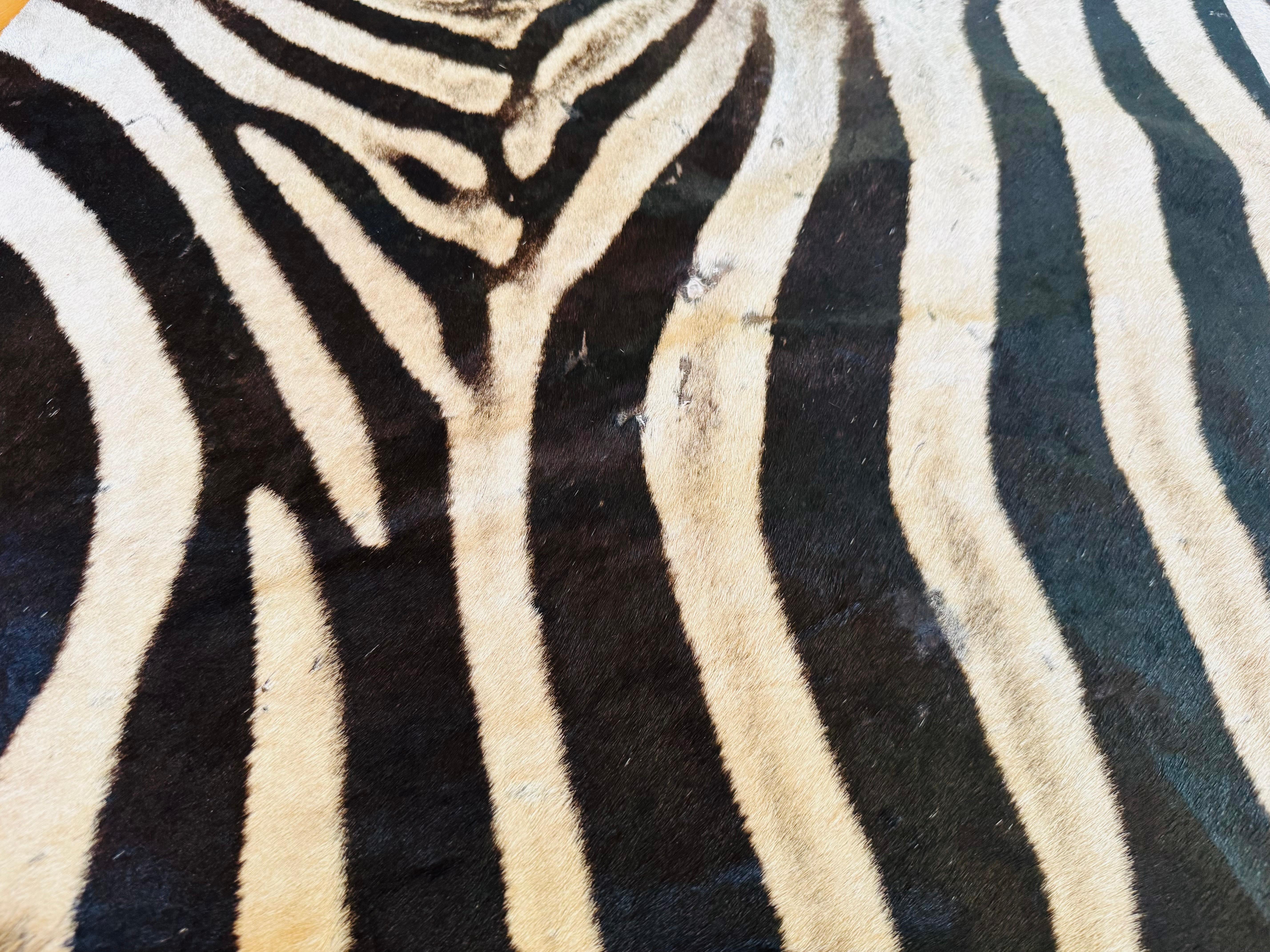 Ein außergewöhnlicher Zebrateppich von Burchell, der aus zwei unbenutzten Häuten gefertigt wurde. (Moderne) im Angebot