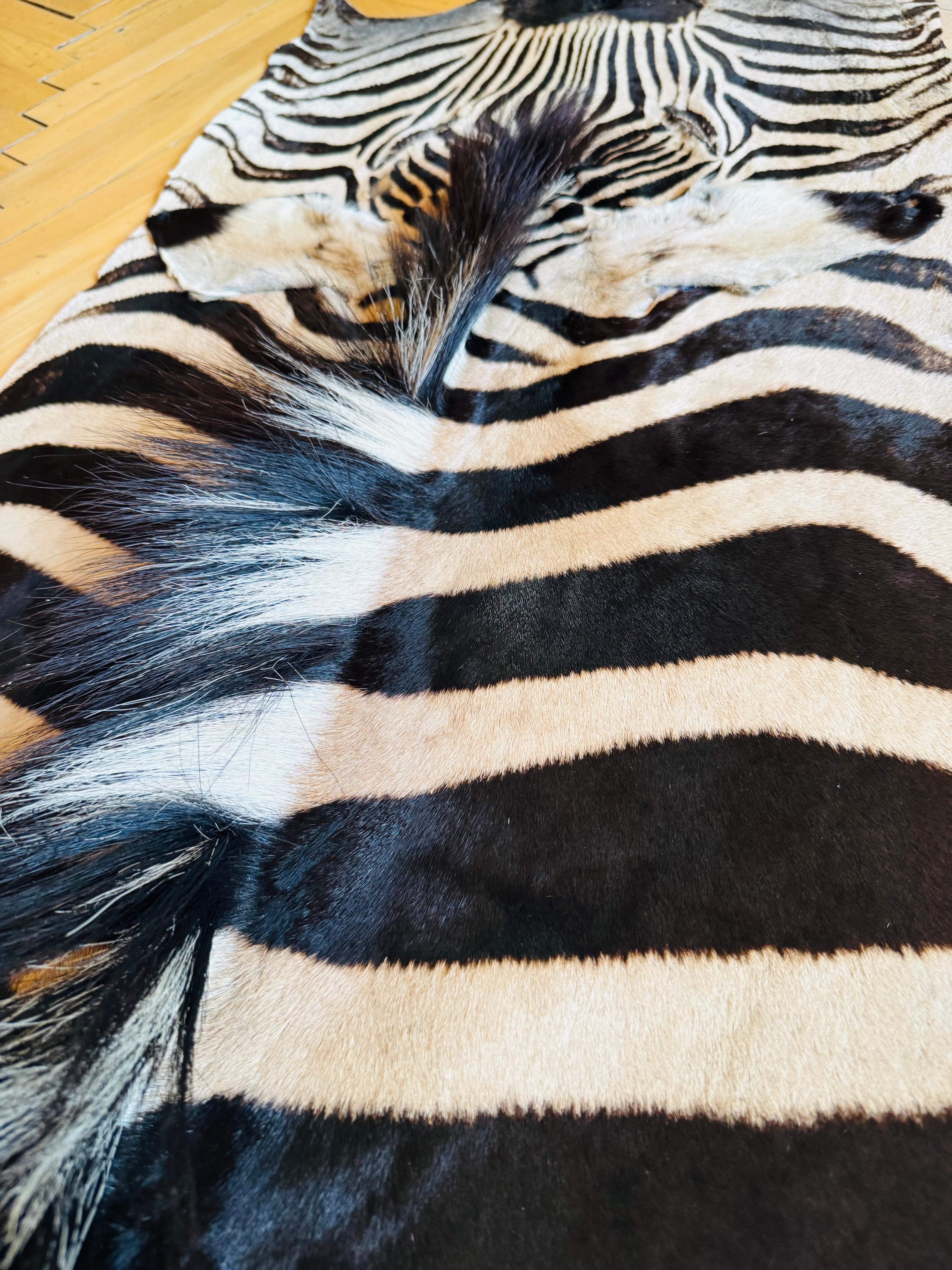 Ein außergewöhnlicher Zebrateppich von Burchell, der aus zwei unbenutzten Häuten gefertigt wurde. im Zustand „Gut“ im Angebot in Wien, AT