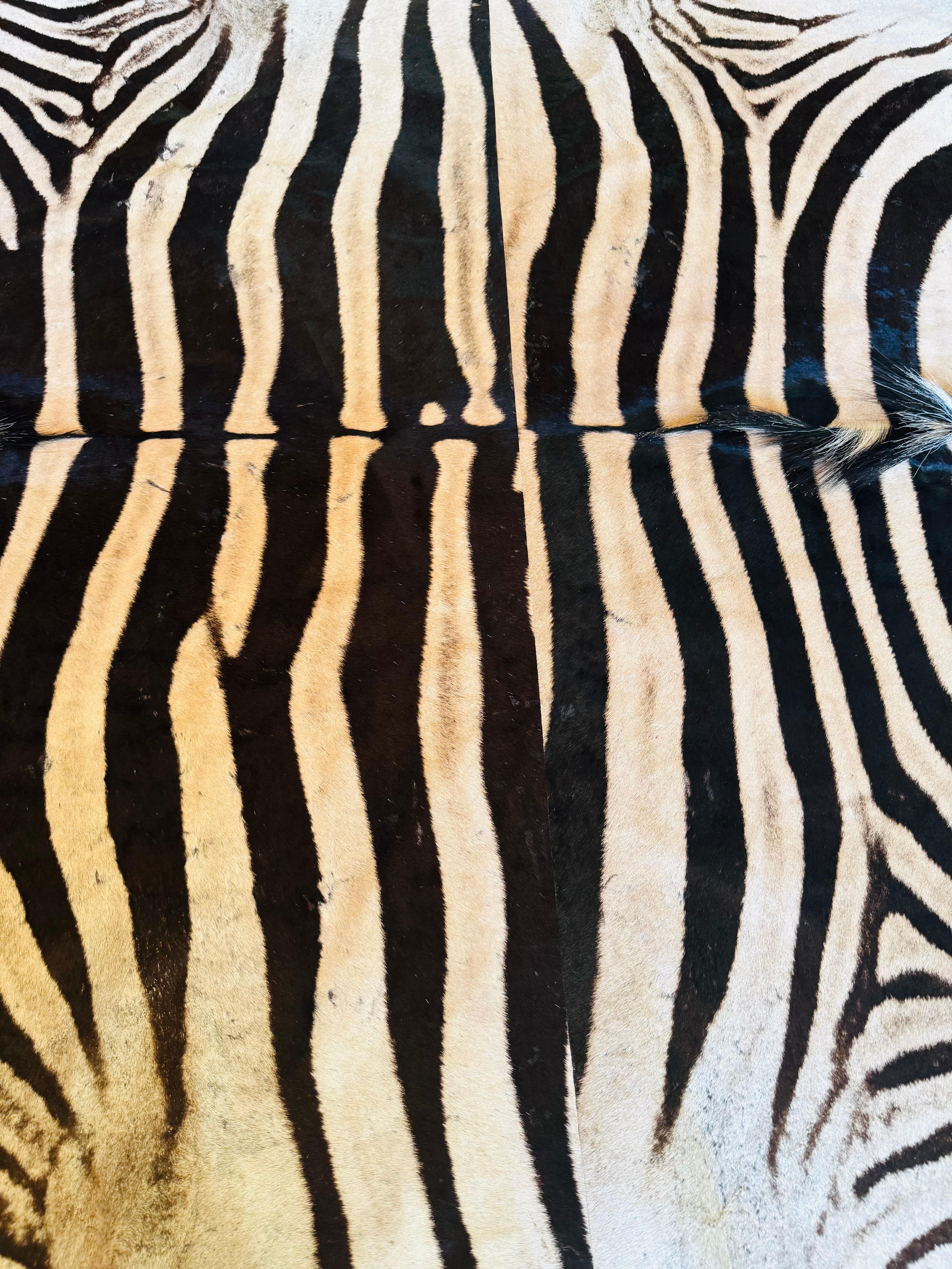 Ein außergewöhnlicher Zebrateppich von Burchell, der aus zwei unbenutzten Häuten gefertigt wurde. (21. Jahrhundert und zeitgenössisch) im Angebot