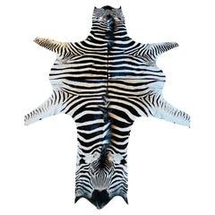An exceptional Burchell zebra rug crafted from two unused hides.