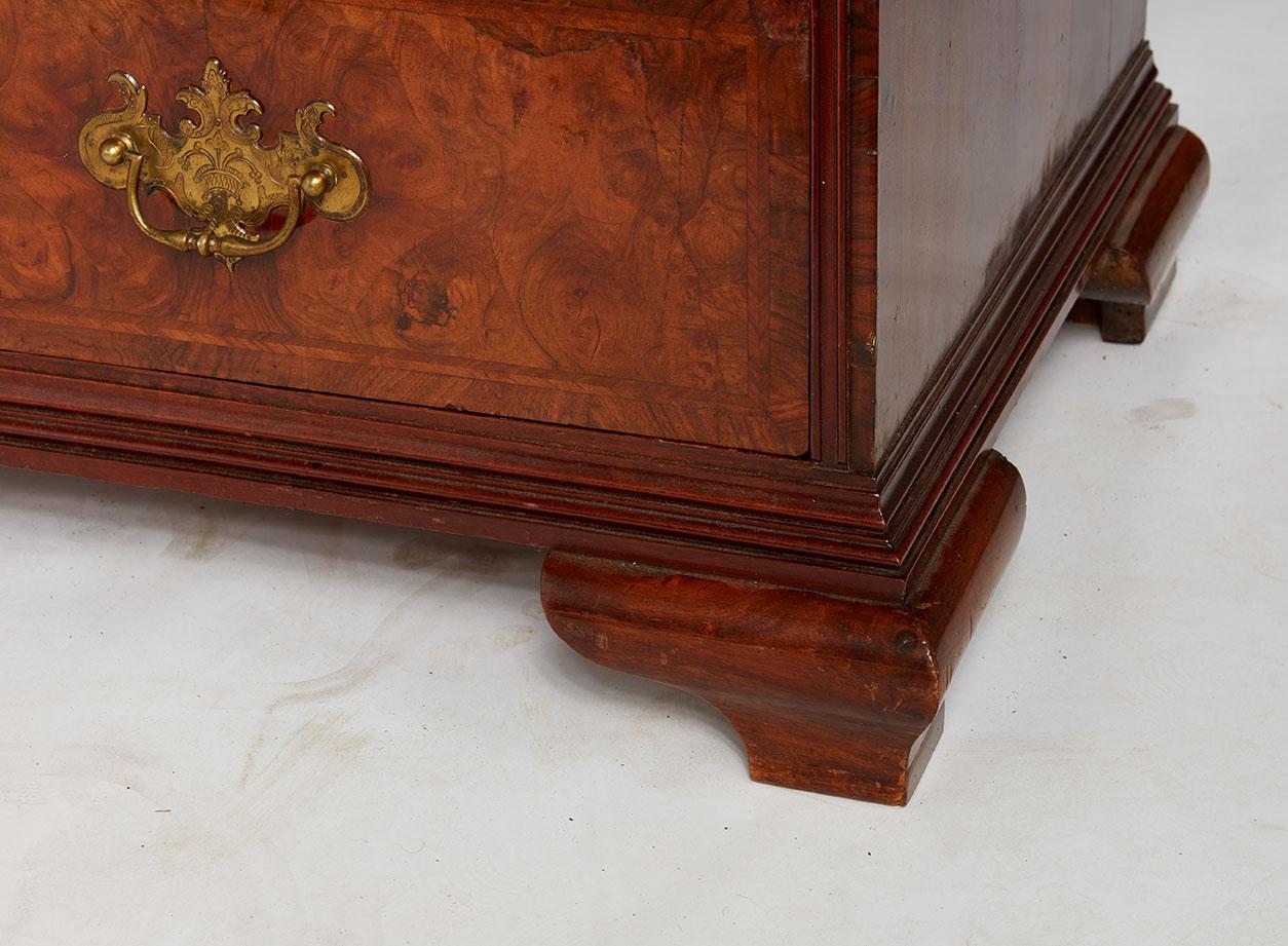 Una excepcional librería burl de nogal en venta 1