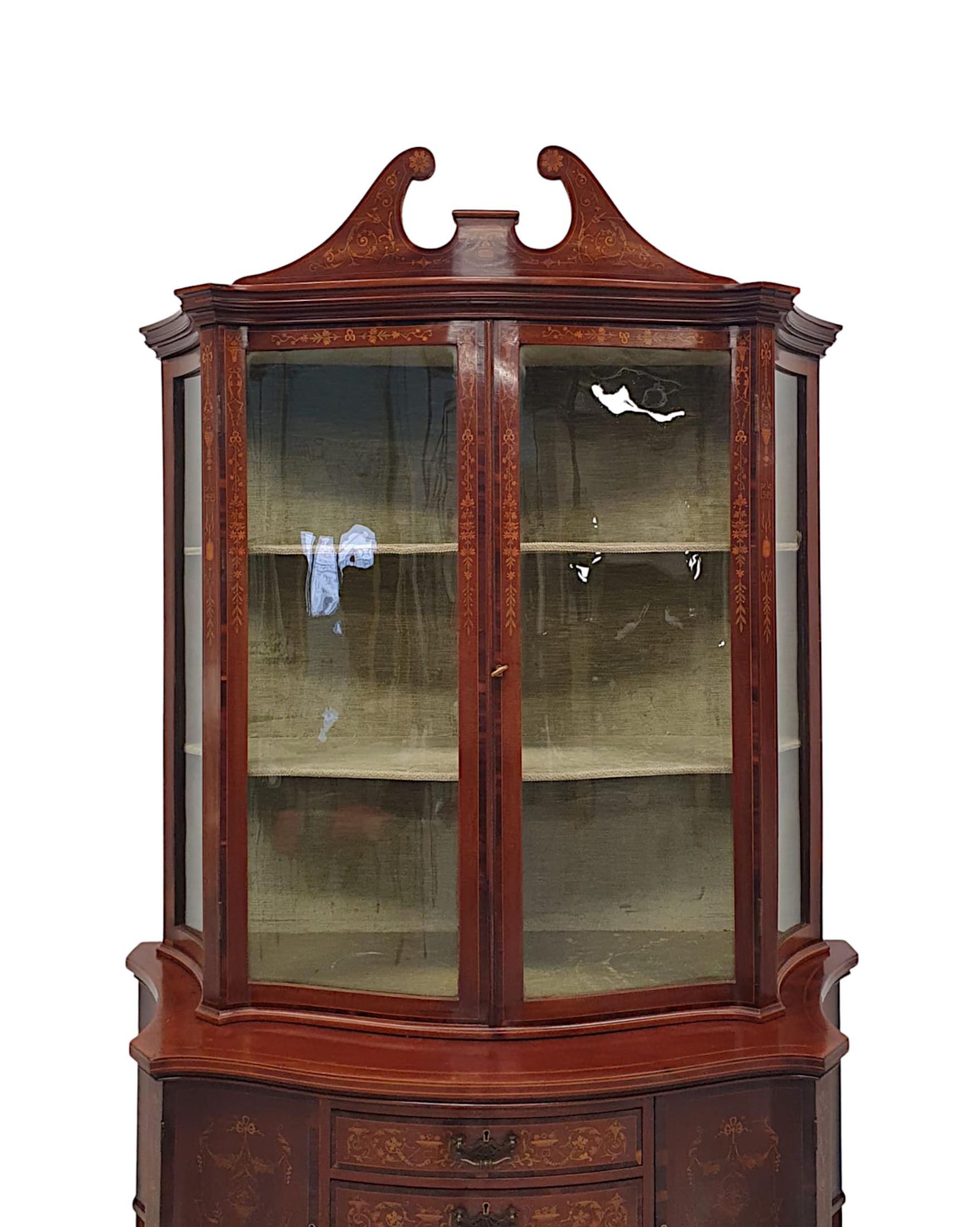 Exceptional Edwardian Display Case Attributed to Edward and Roberts In Good Condition For Sale In Dublin, IE