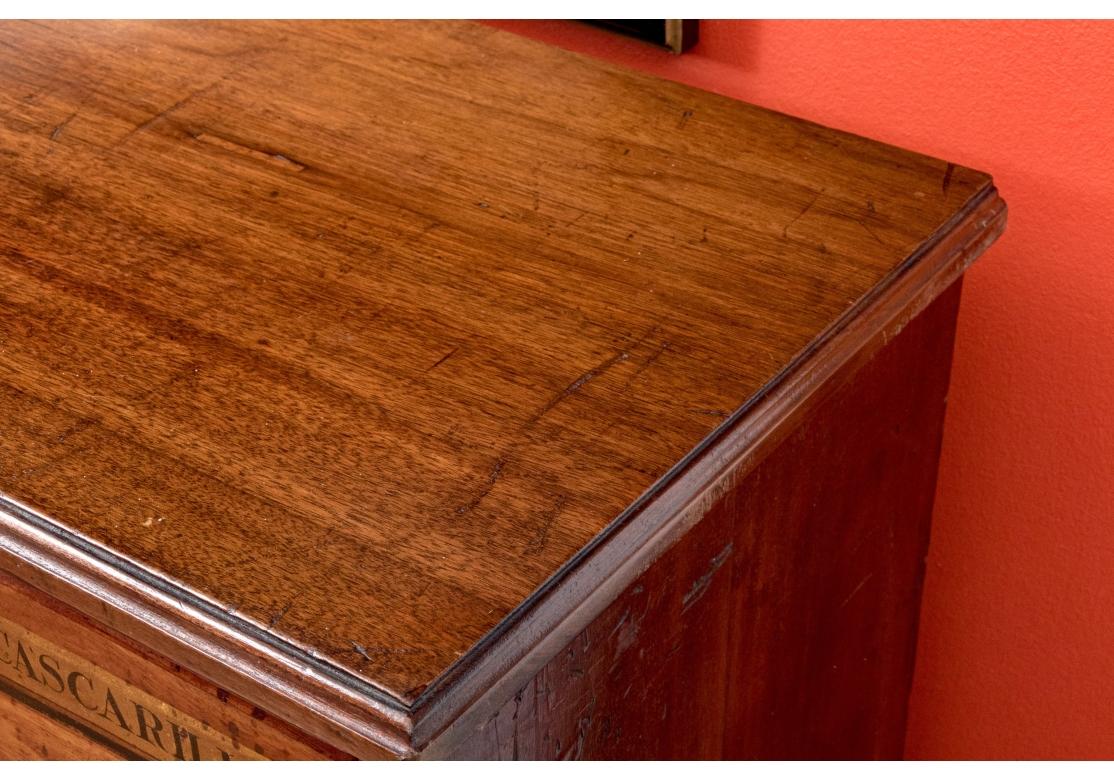 Exceptionnelle commode d'apothicaire ancienne de grande taille en vente 4