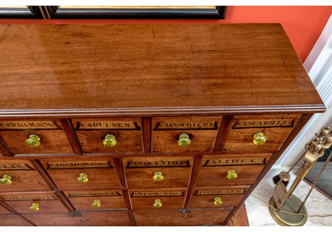 Exceptionnelle commode d'apothicaire ancienne de grande taille en vente 2