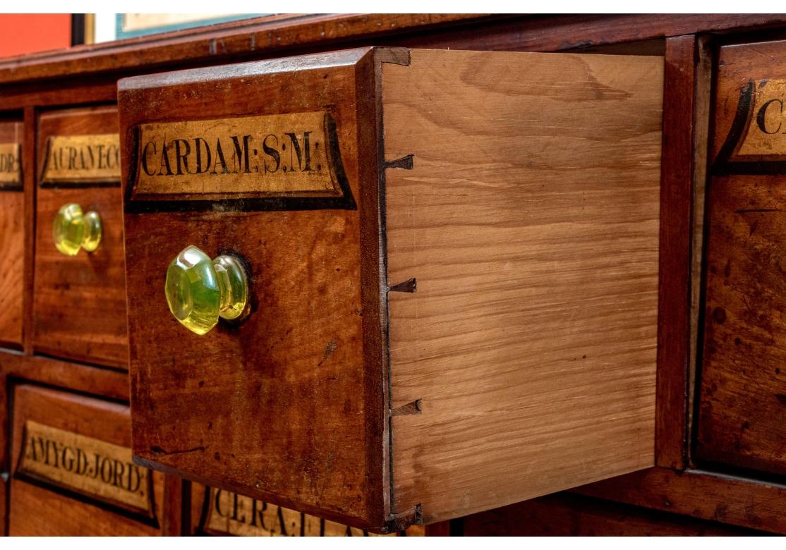 Exceptionnelle commode d'apothicaire ancienne de grande taille en vente 3