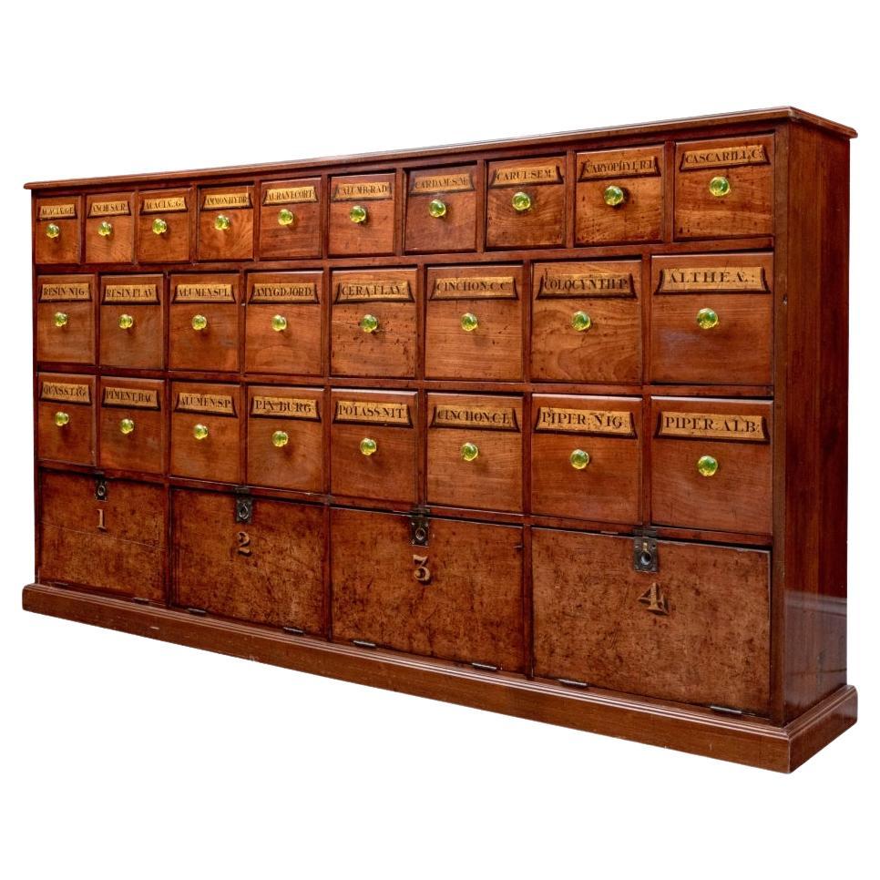 An Exceptional Massive Antique Apothecary Chest