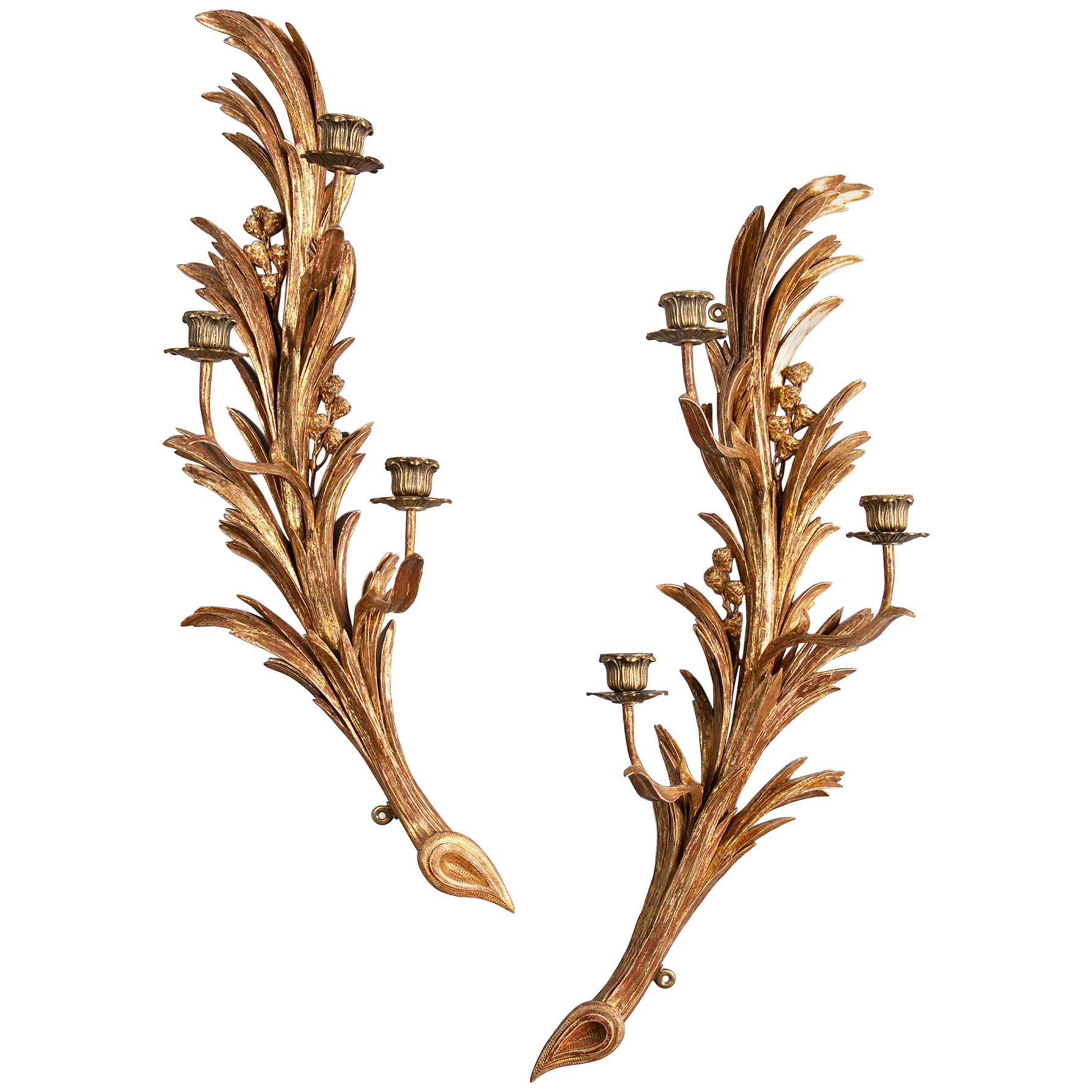 Exceptional Pair of Carved Giltwood Wall Sconces For Sale