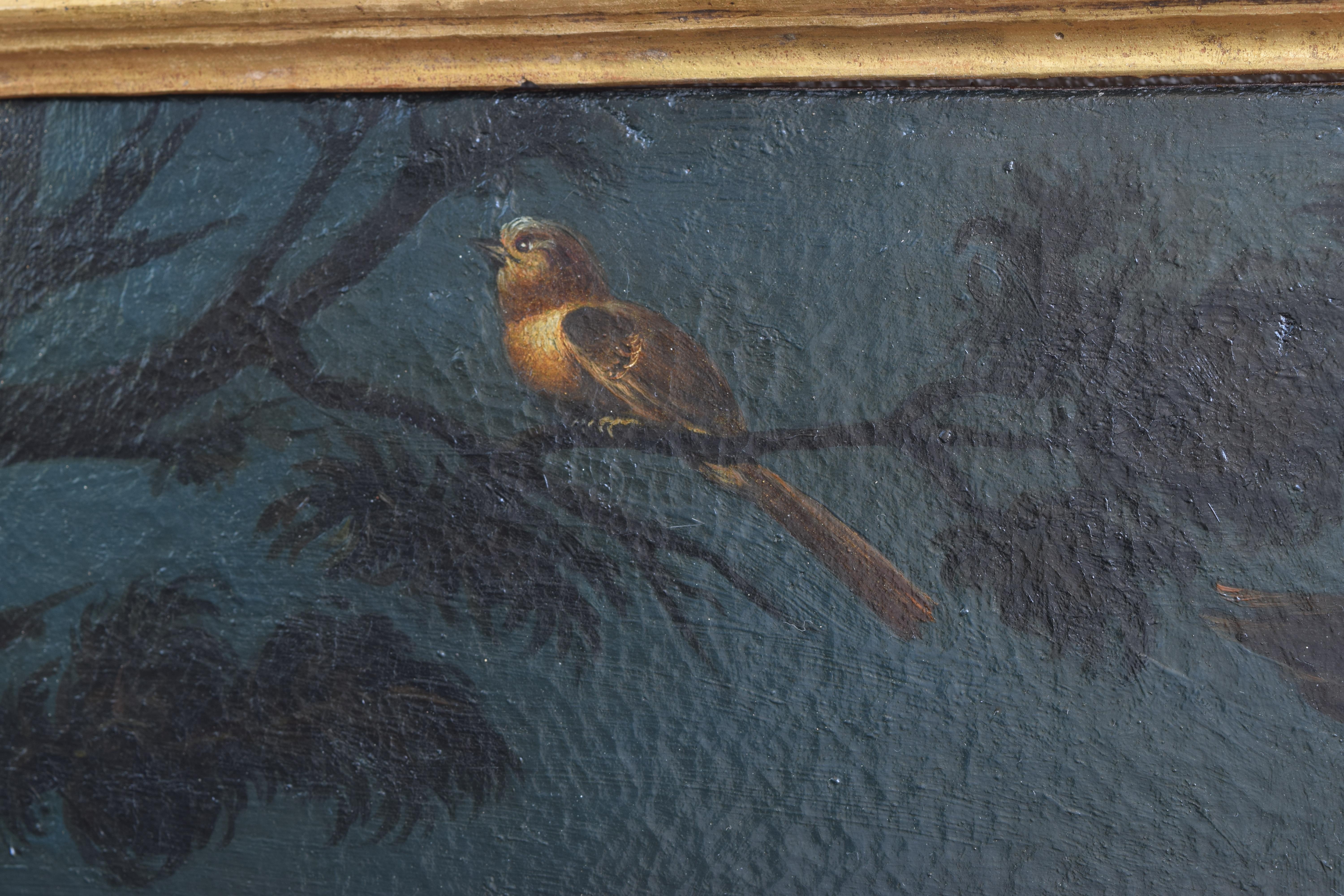 Exceptional Pair of Mid 18th Century Oils on Canvas,  Assembly of Exotic Birds 6