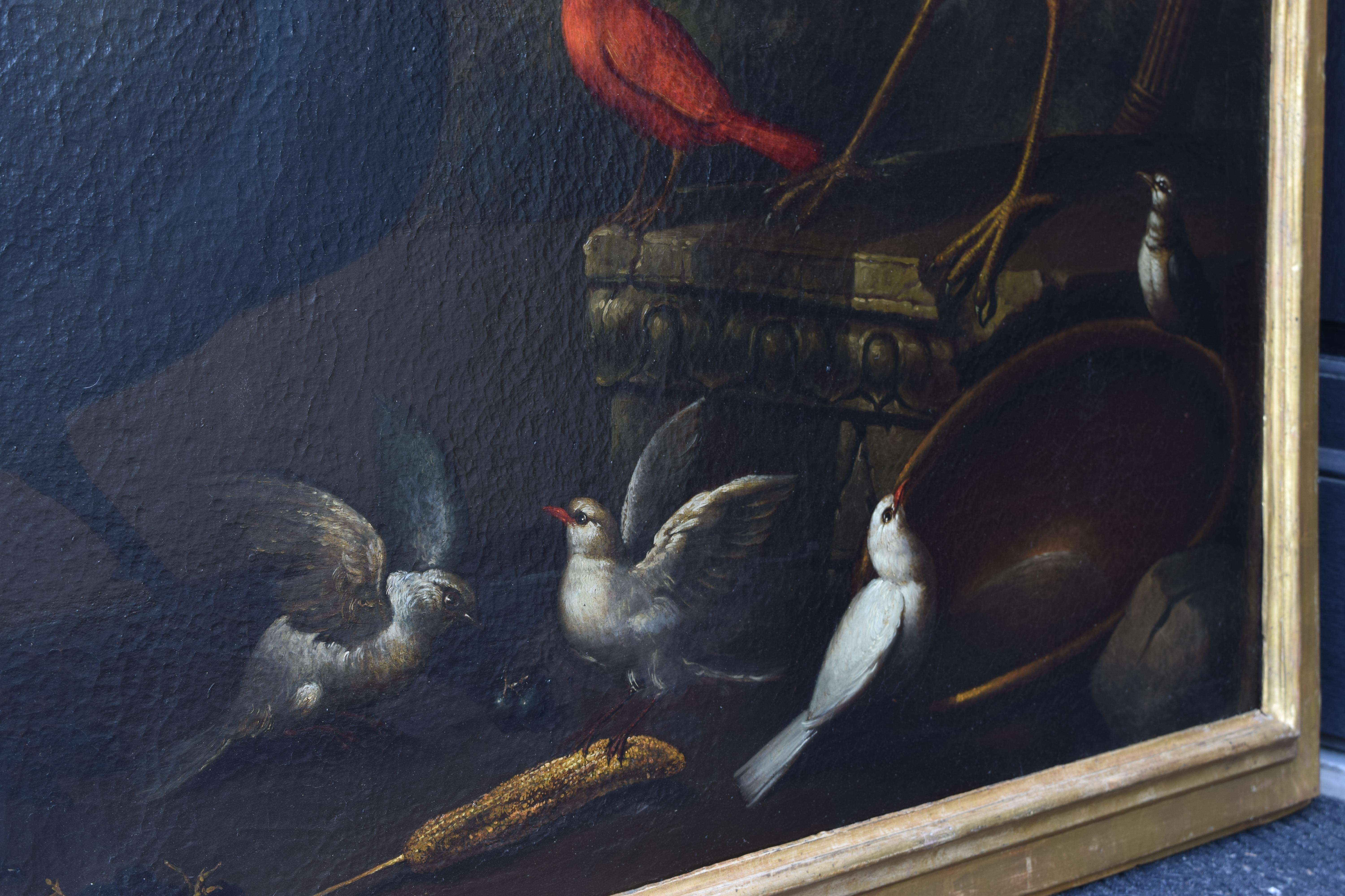 Exceptional Pair of Mid 18th Century Oils on Canvas,  Assembly of Exotic Birds 12